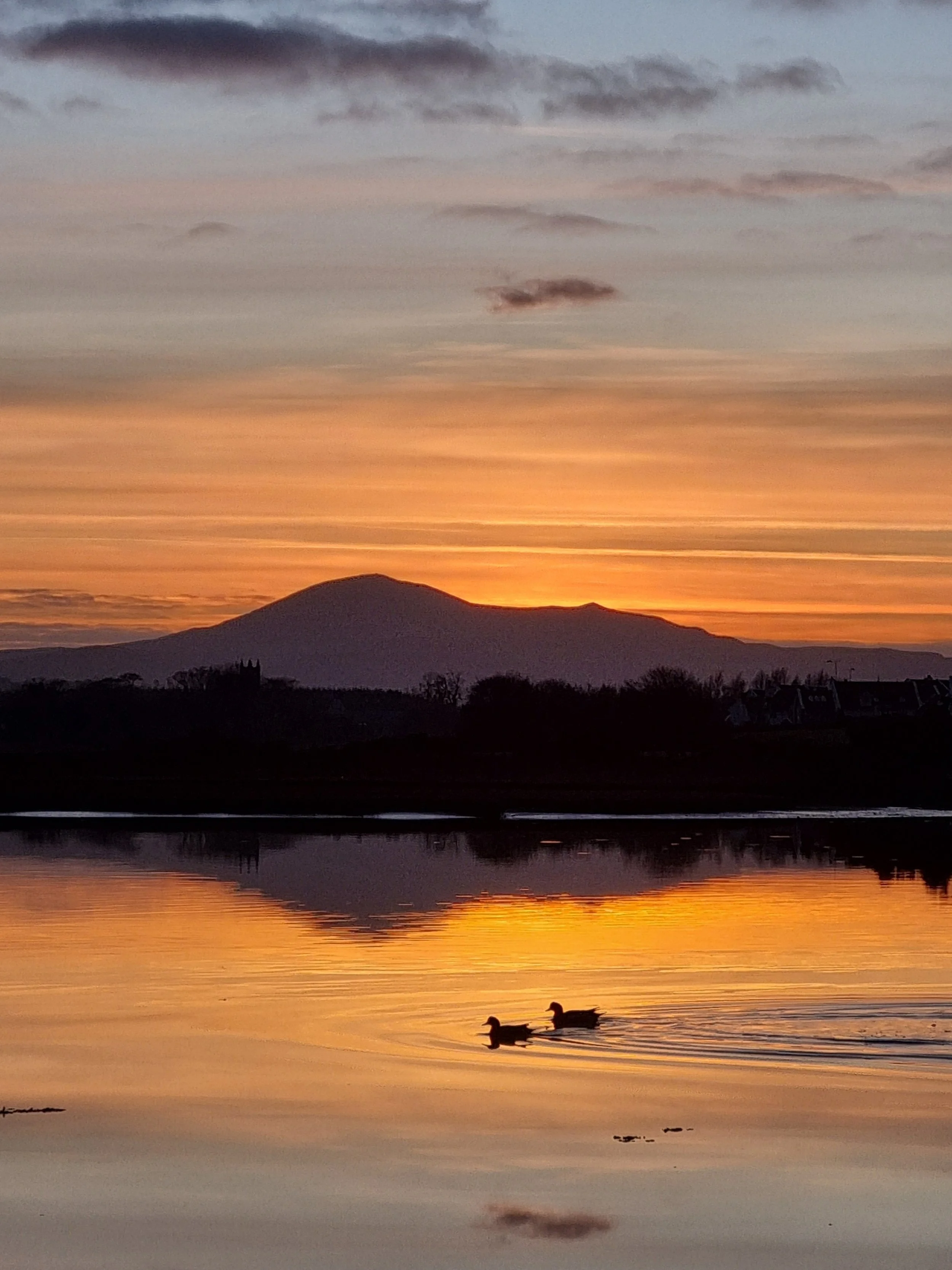 20251230_160906 - Copy.jpg