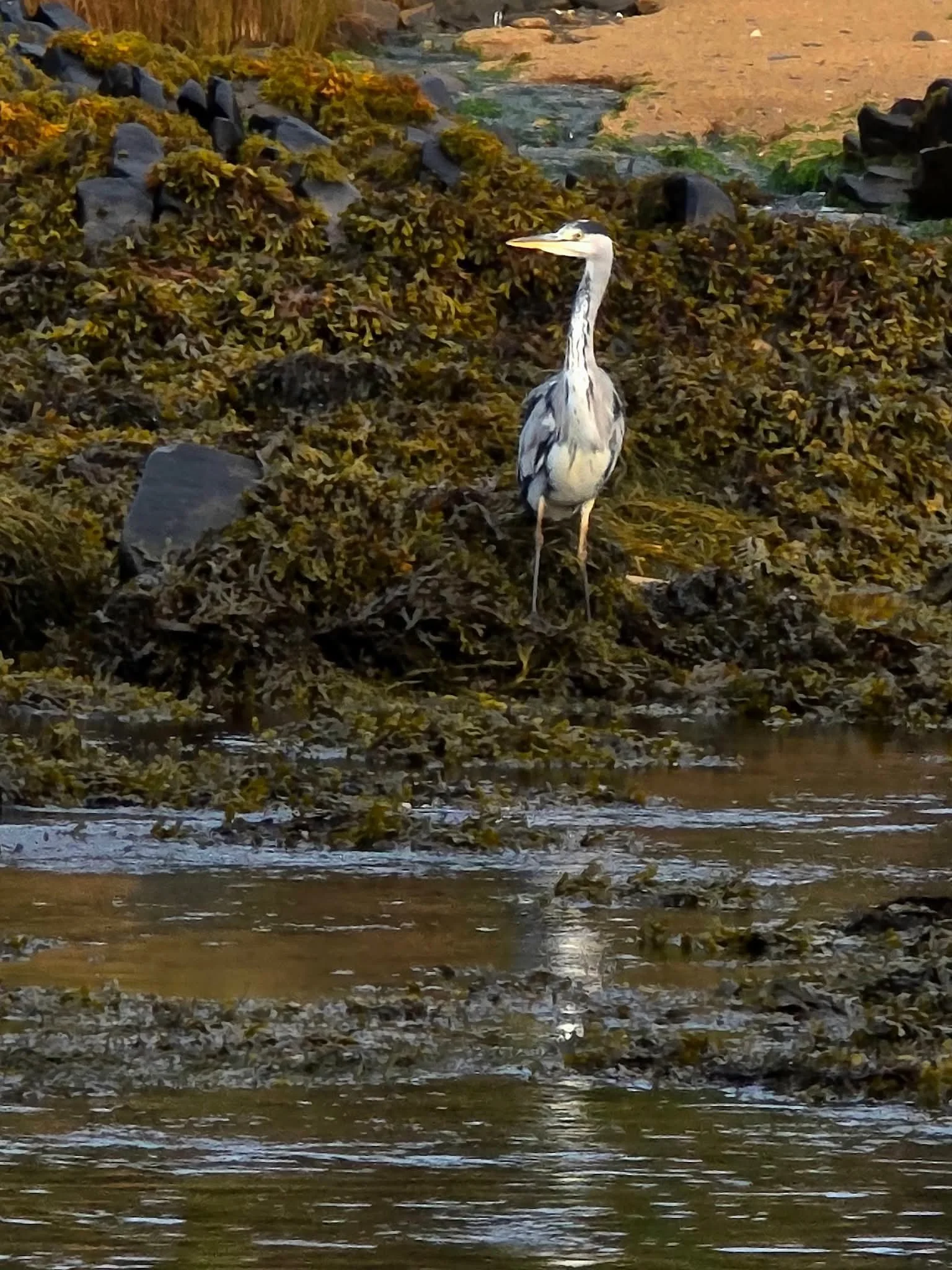 1000039532 - Copy - Copy - Copy.jpg