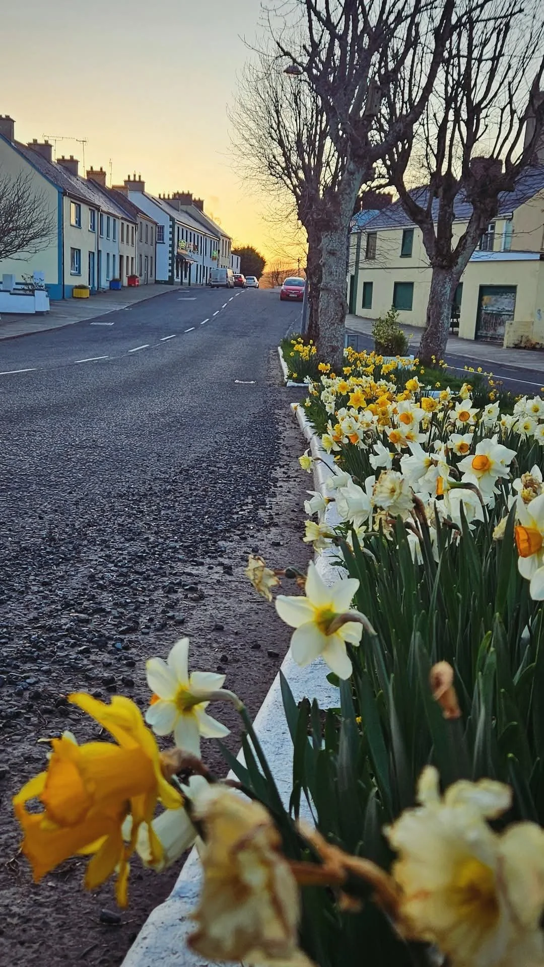 1000039548 - Copy.jpg