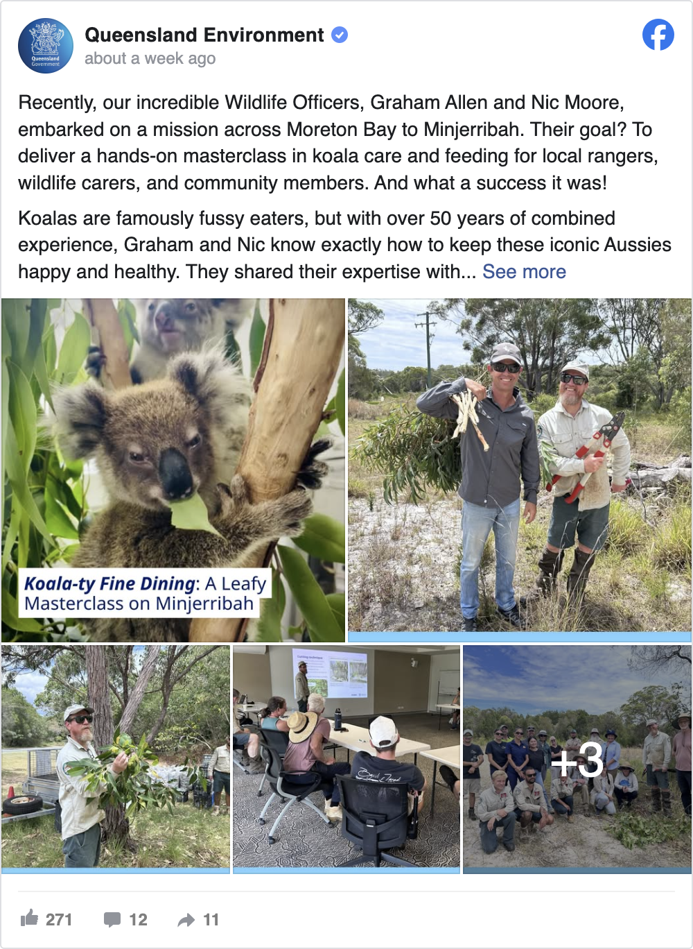 Queensland Wildlife Officers Support Koala Care on Minjerribah