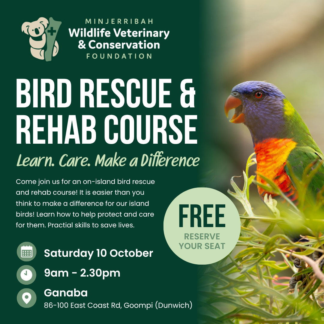 Bird Rescue & Rehab Course