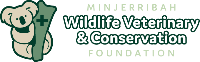 Minjerribah Wildlife Veterinary and Conservation Foundation
