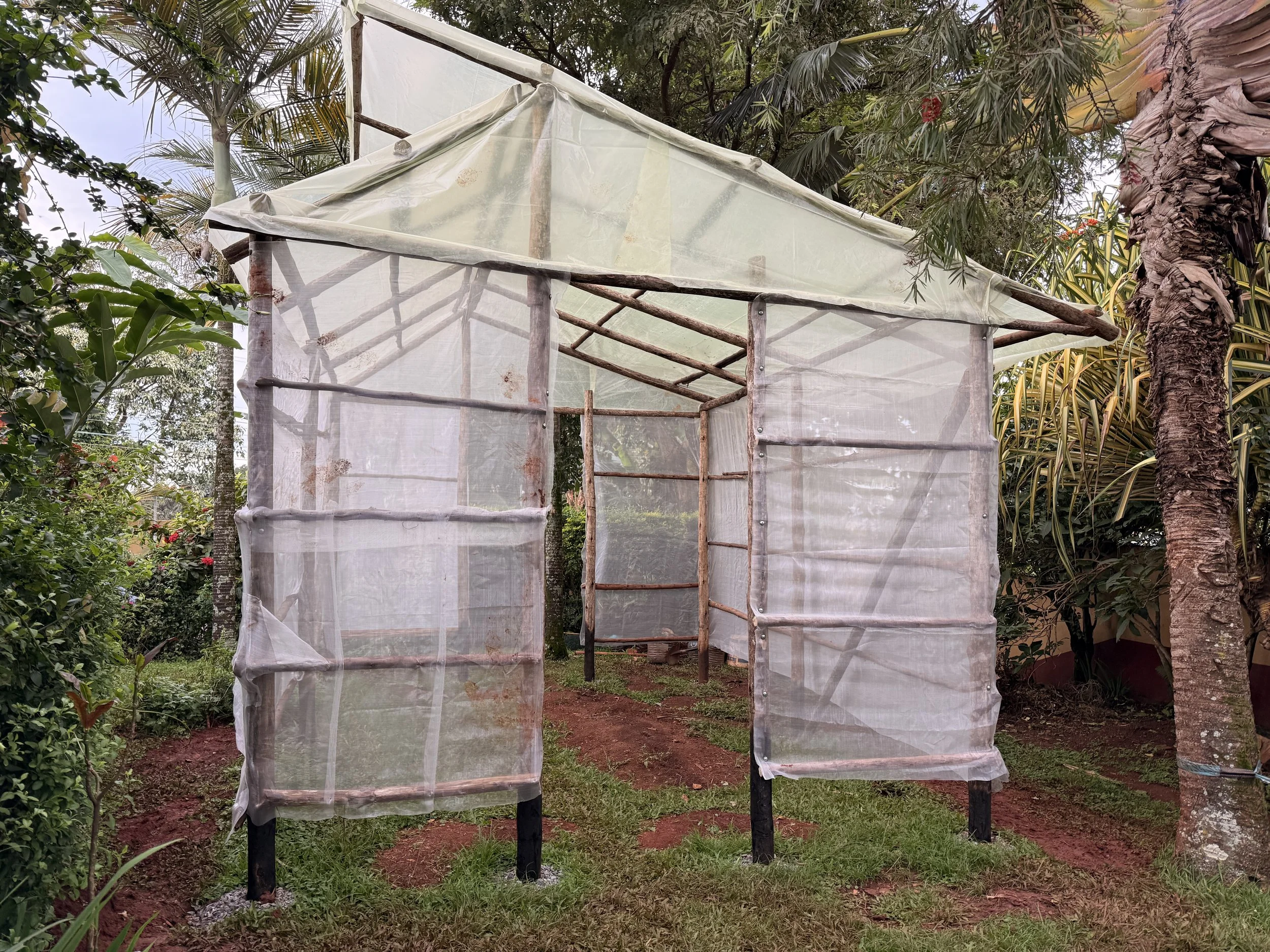 Building Better Greenhouses in Uganda: Affordable, Durable, and Designed for Local Conditions