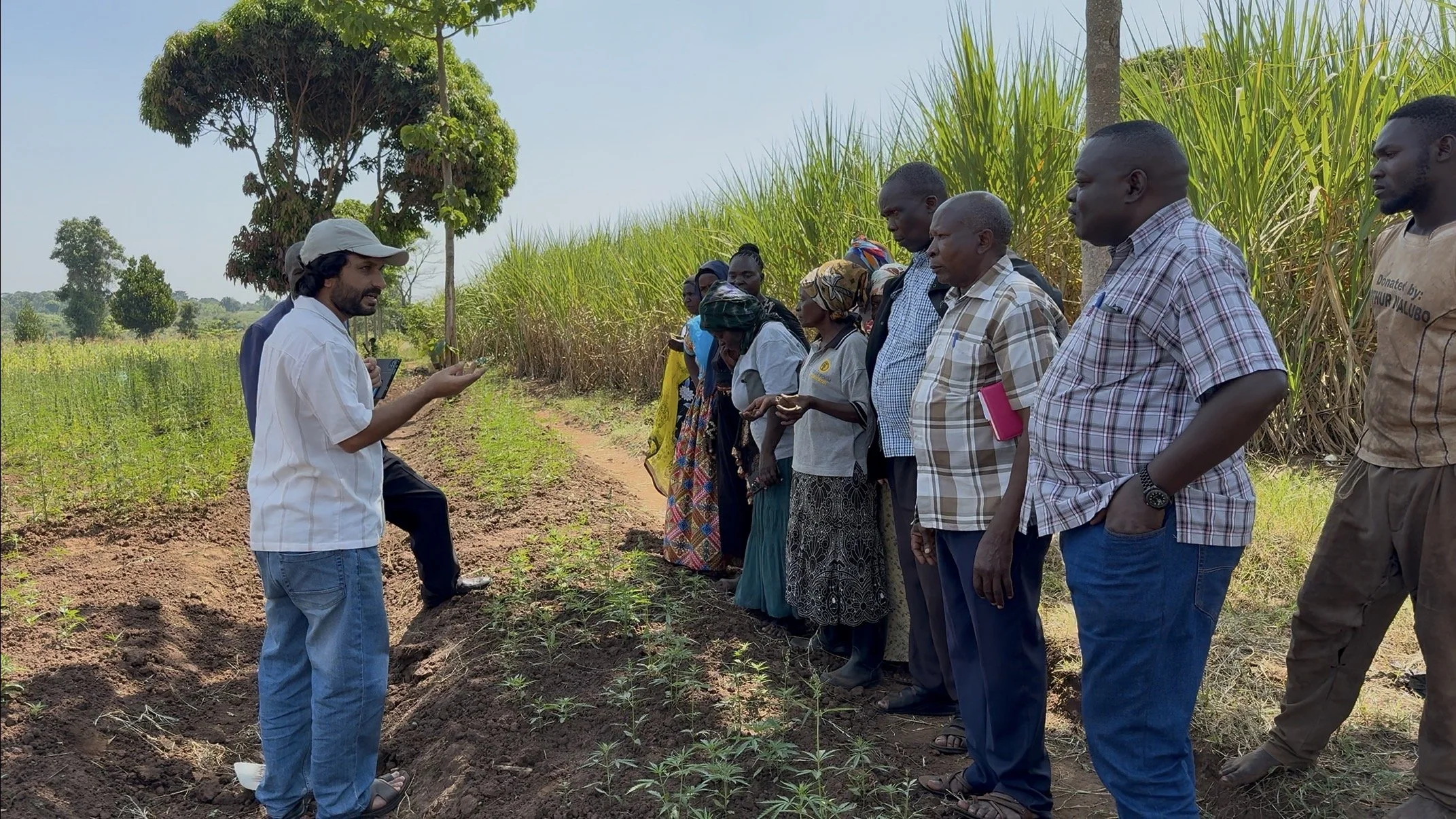 Consulting & Training