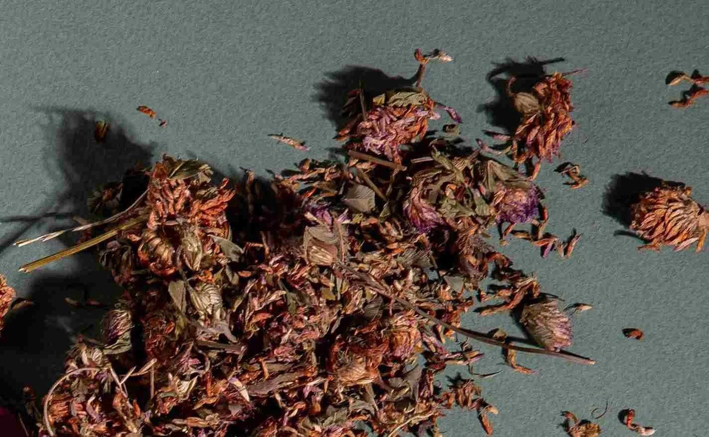 What are phytoestrogens and why should we add them to our diet?