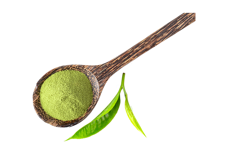 Green Tea Extract: A wellness favourite with powerful benefits
