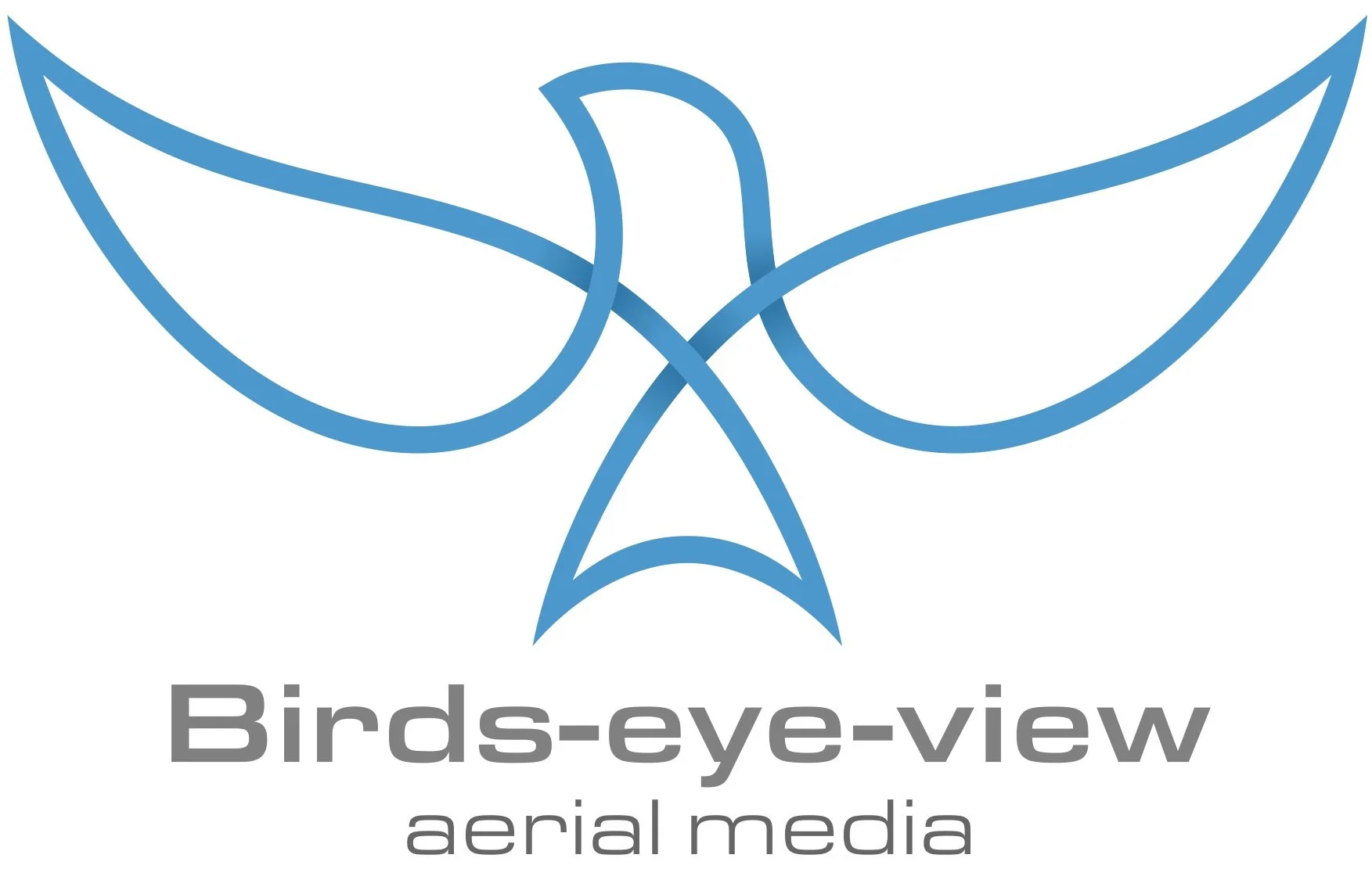 Birds Eye View logo