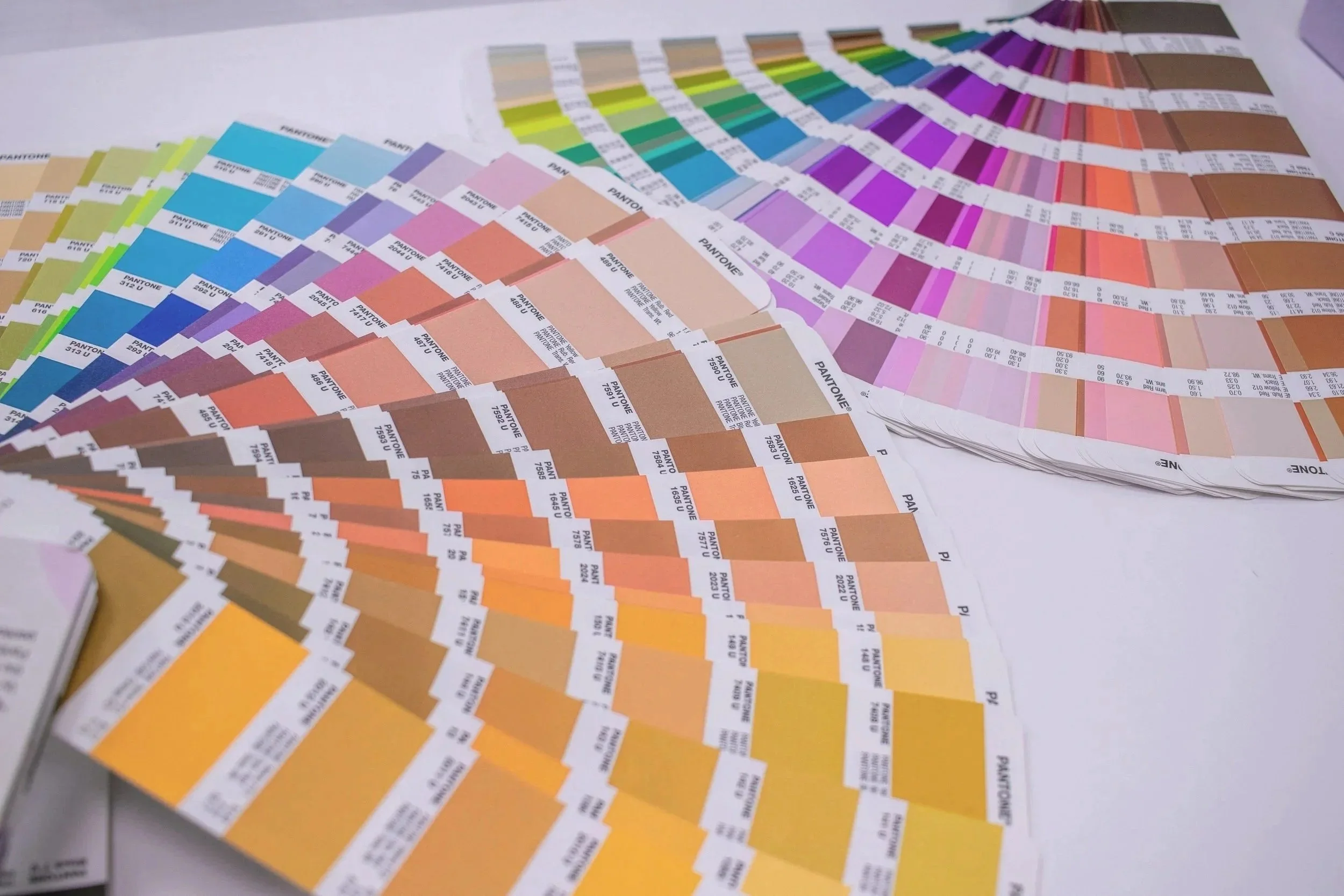 Pantone Color Fashion Product Development