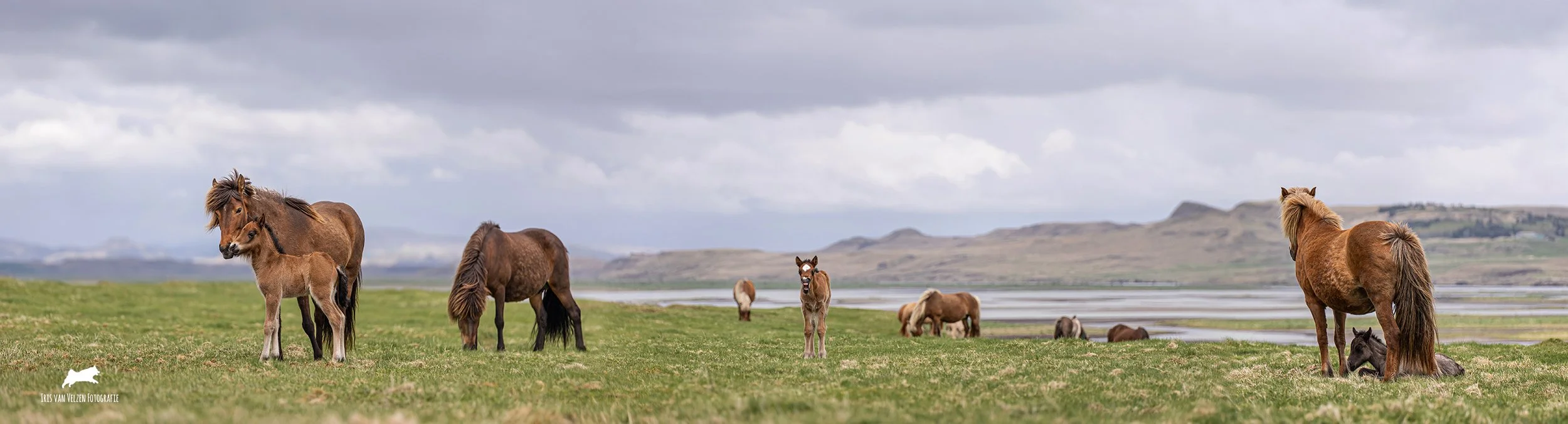 Photographing on Iceland at the Margrétarhof