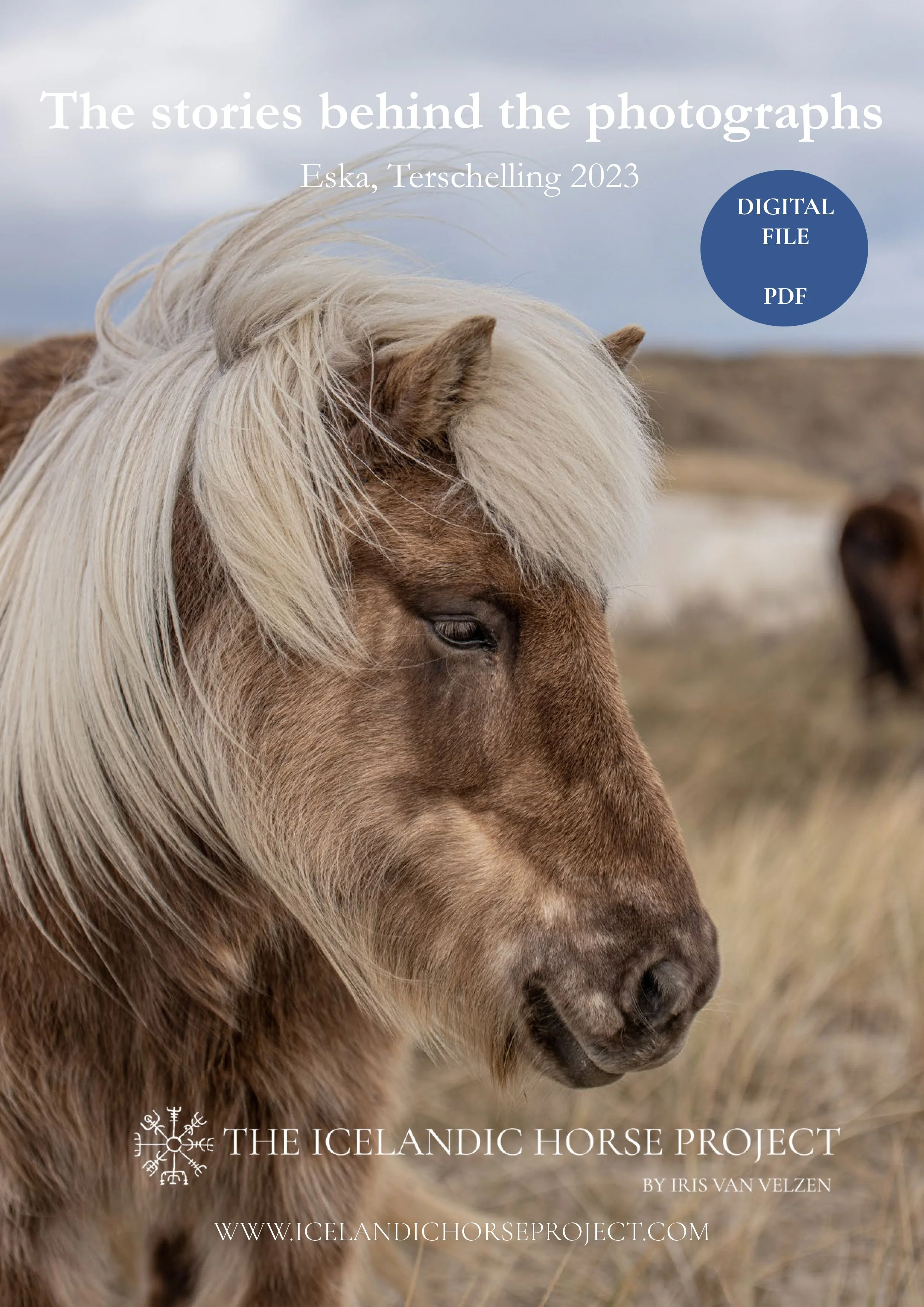 IcelandicHorseProject_IrisvanVelzen_TheStorybehindtheprotograph_EskaTerschelling2023-COVERproduct.jpg
