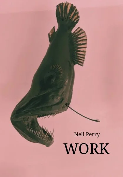 'The sun is dying, bodies unsettle and come apart and even the architecture is designed to kill you. From the Victorian workhouses of East Kent via brutal animal experiments testing human attachment theories, to the staticky hum of LED office strip l
