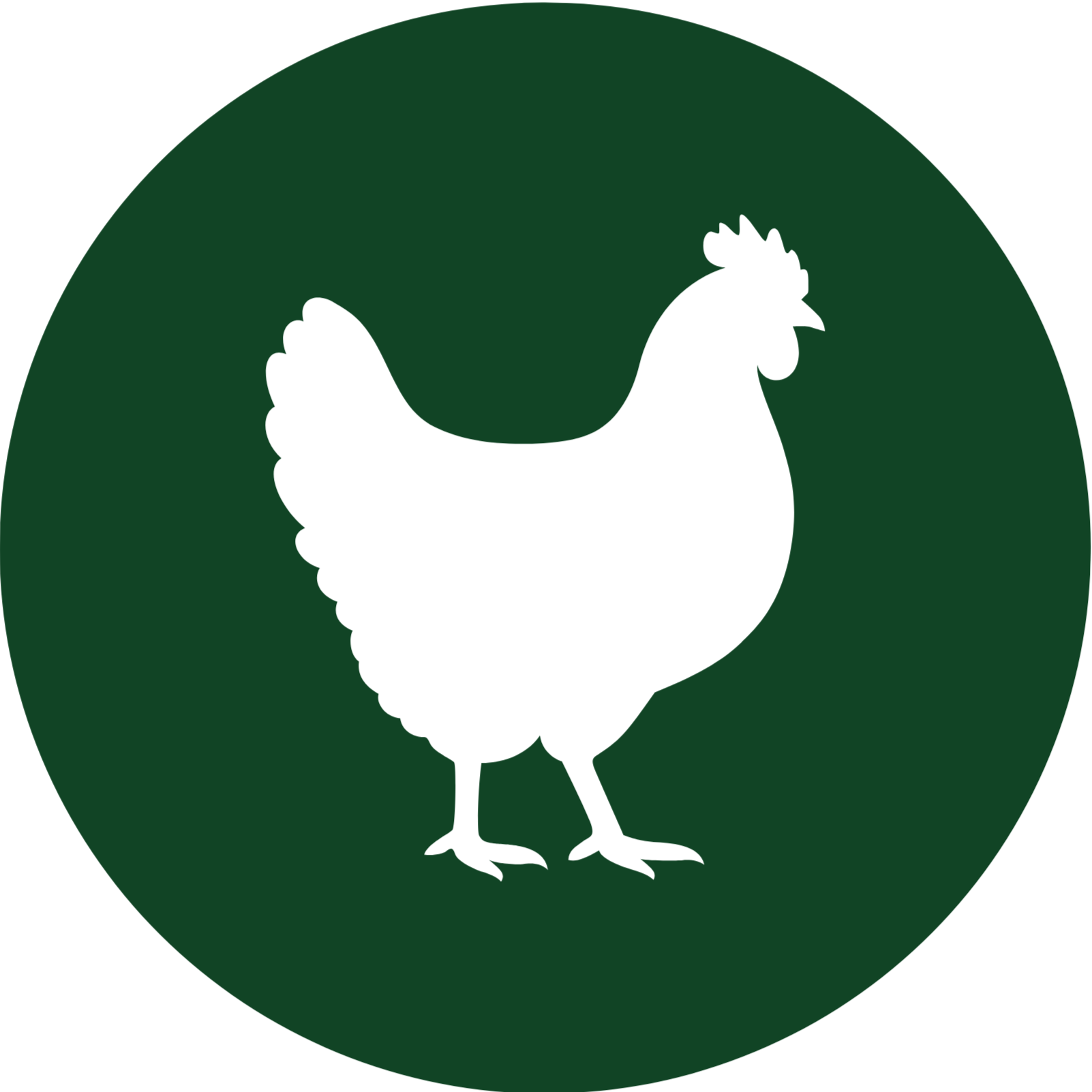 Hundefutter Huhn