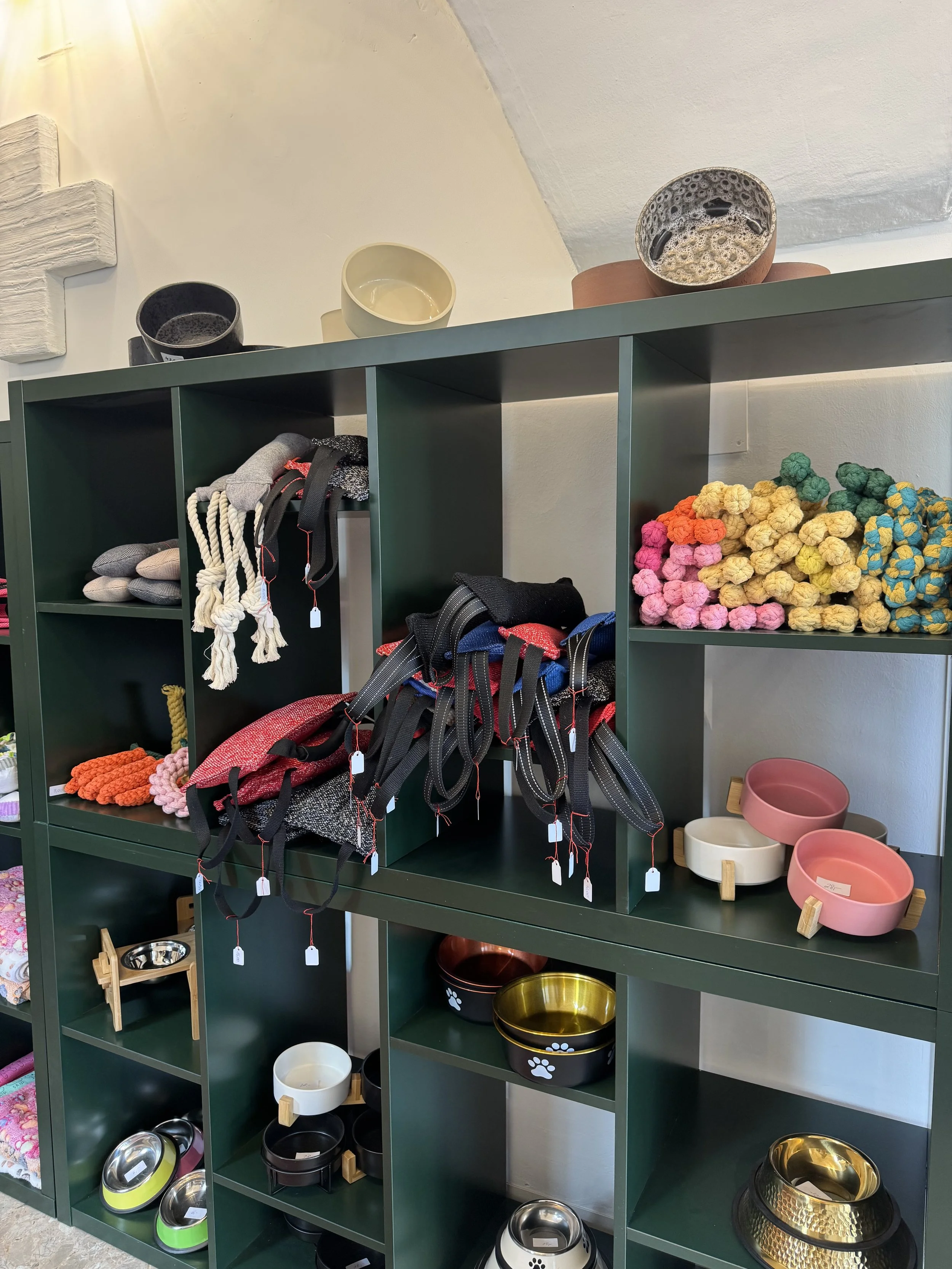 Stilvolle Hunde-Accessoires im Hundeshop in Klagenfurt