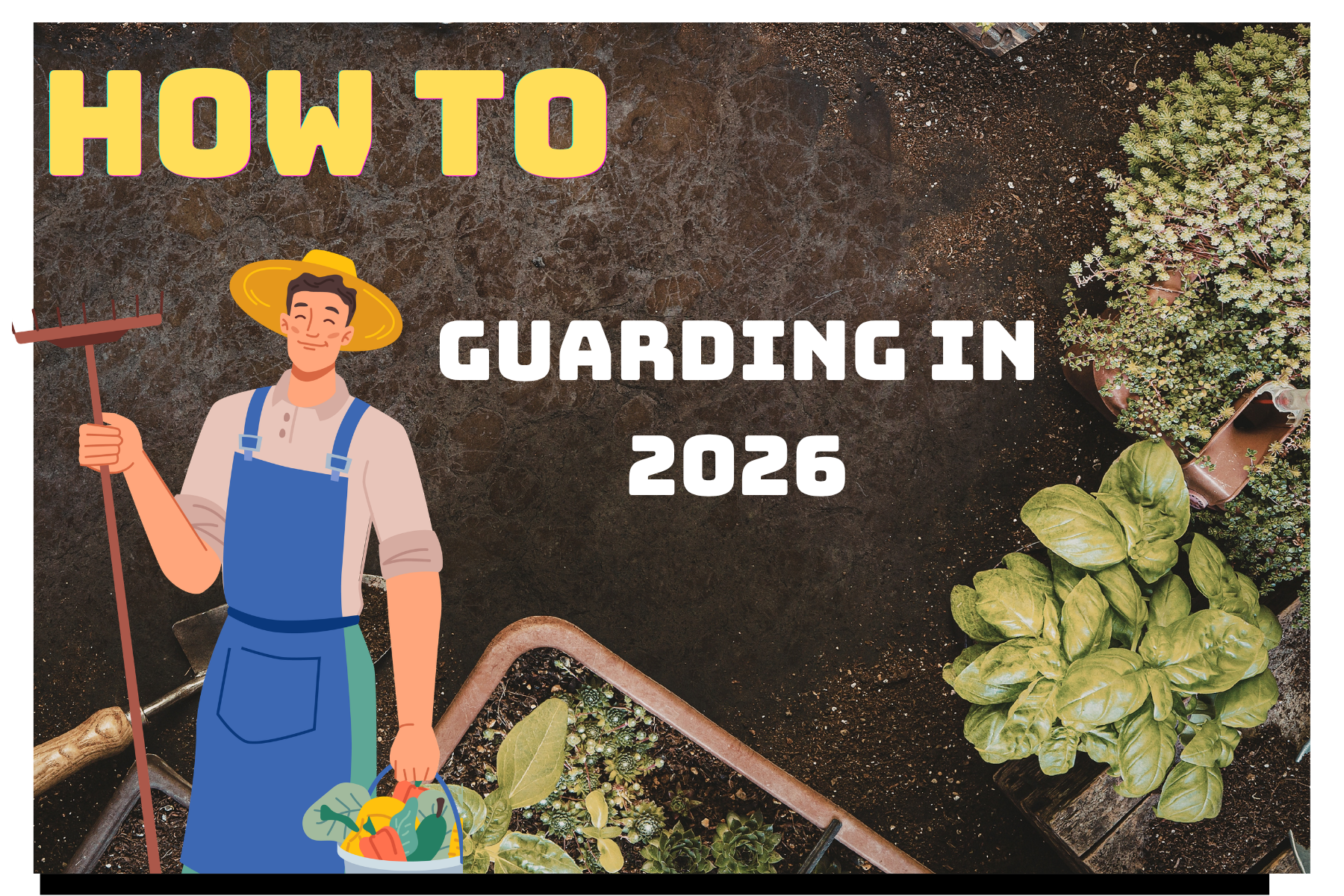 Beginner’s Guide to Starting a Garden