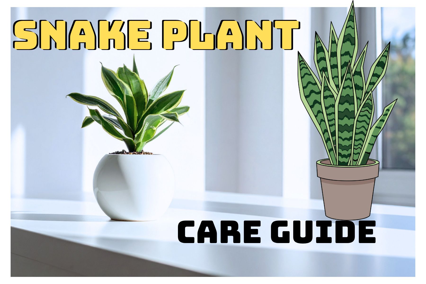 Snake Plant Care Guide for Beginners: Thrive With Neglect