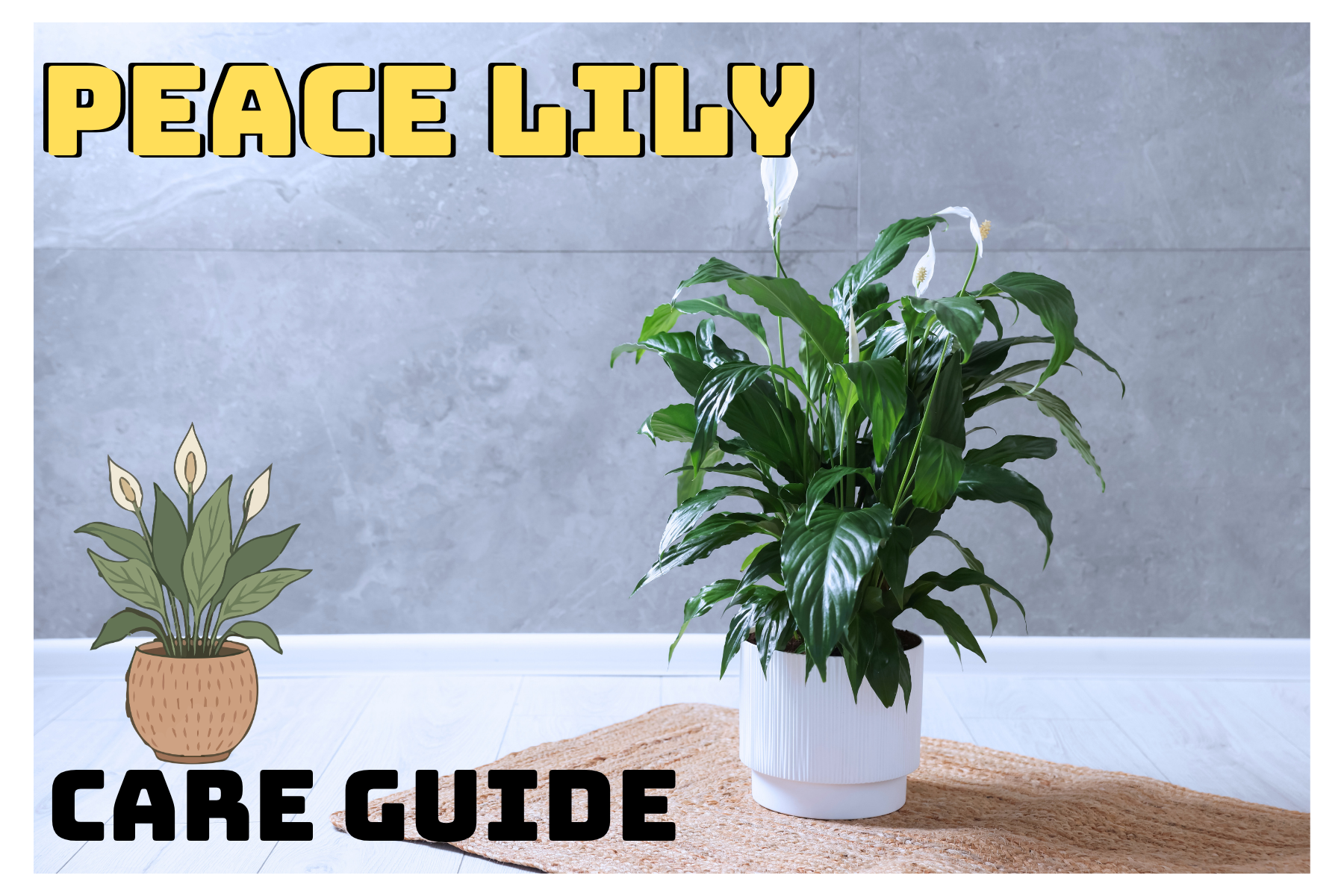 Peace Lily Care Guide: Easy Indoor Plant With Elegant Blooms
