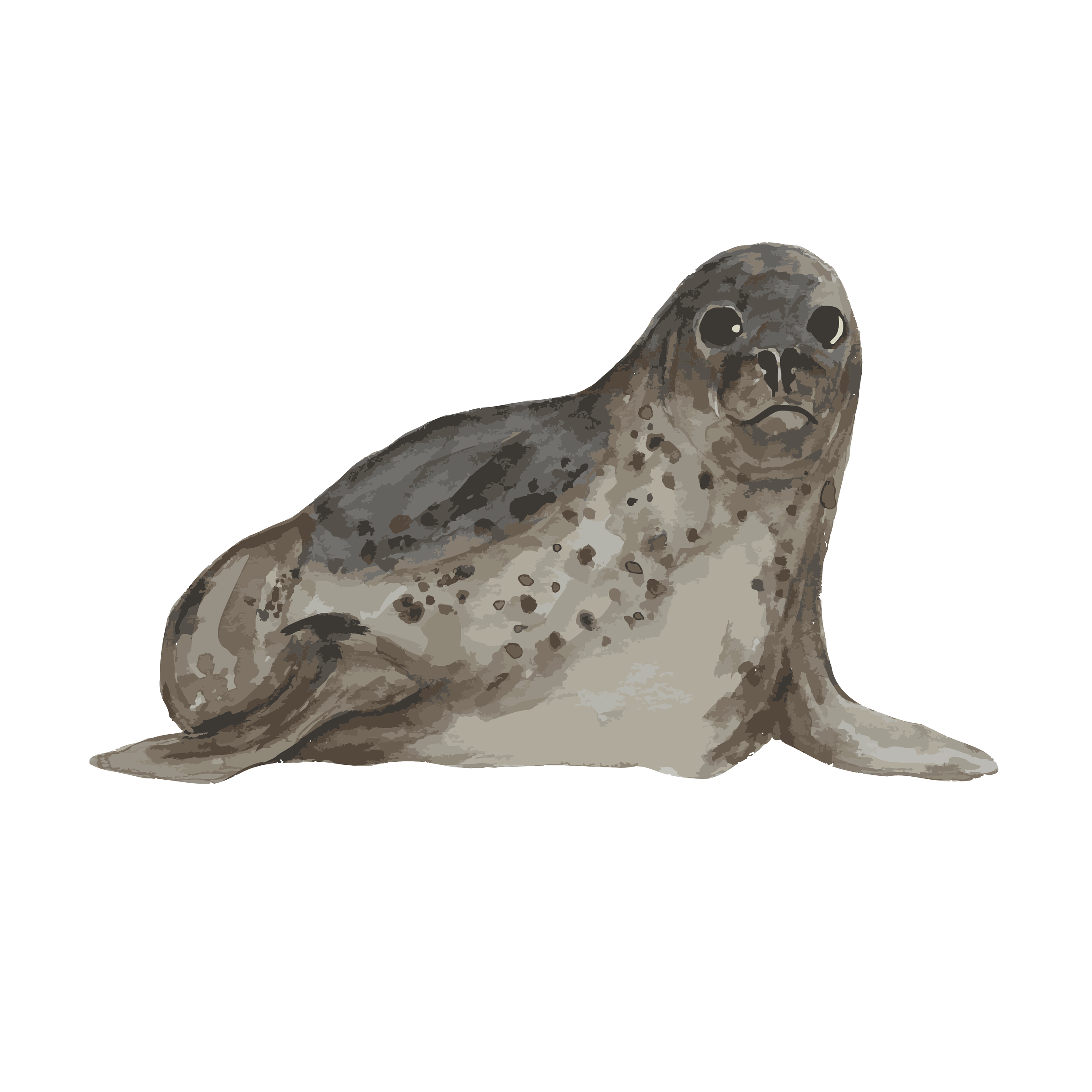 seal copy.png