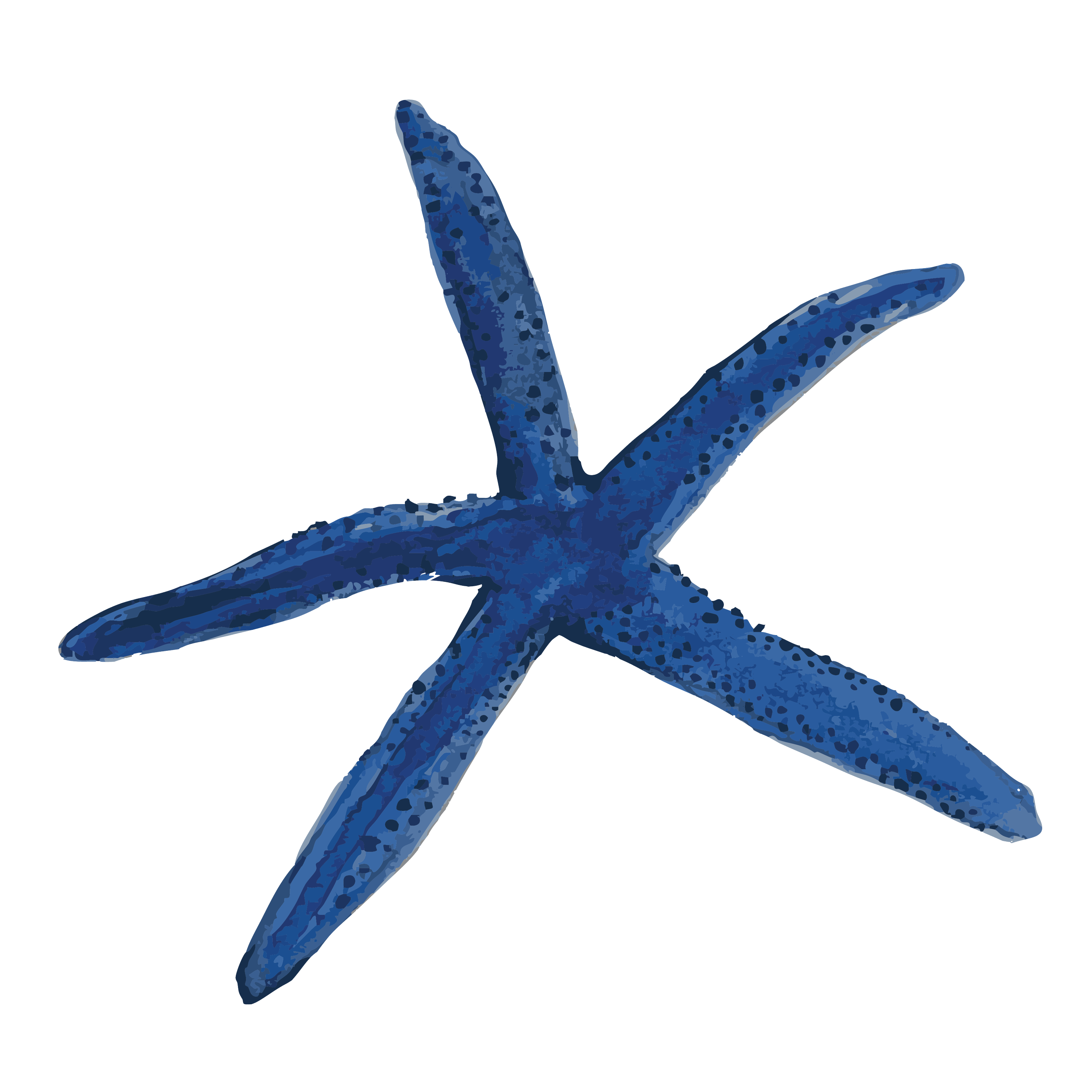 blue starfish  copy.png