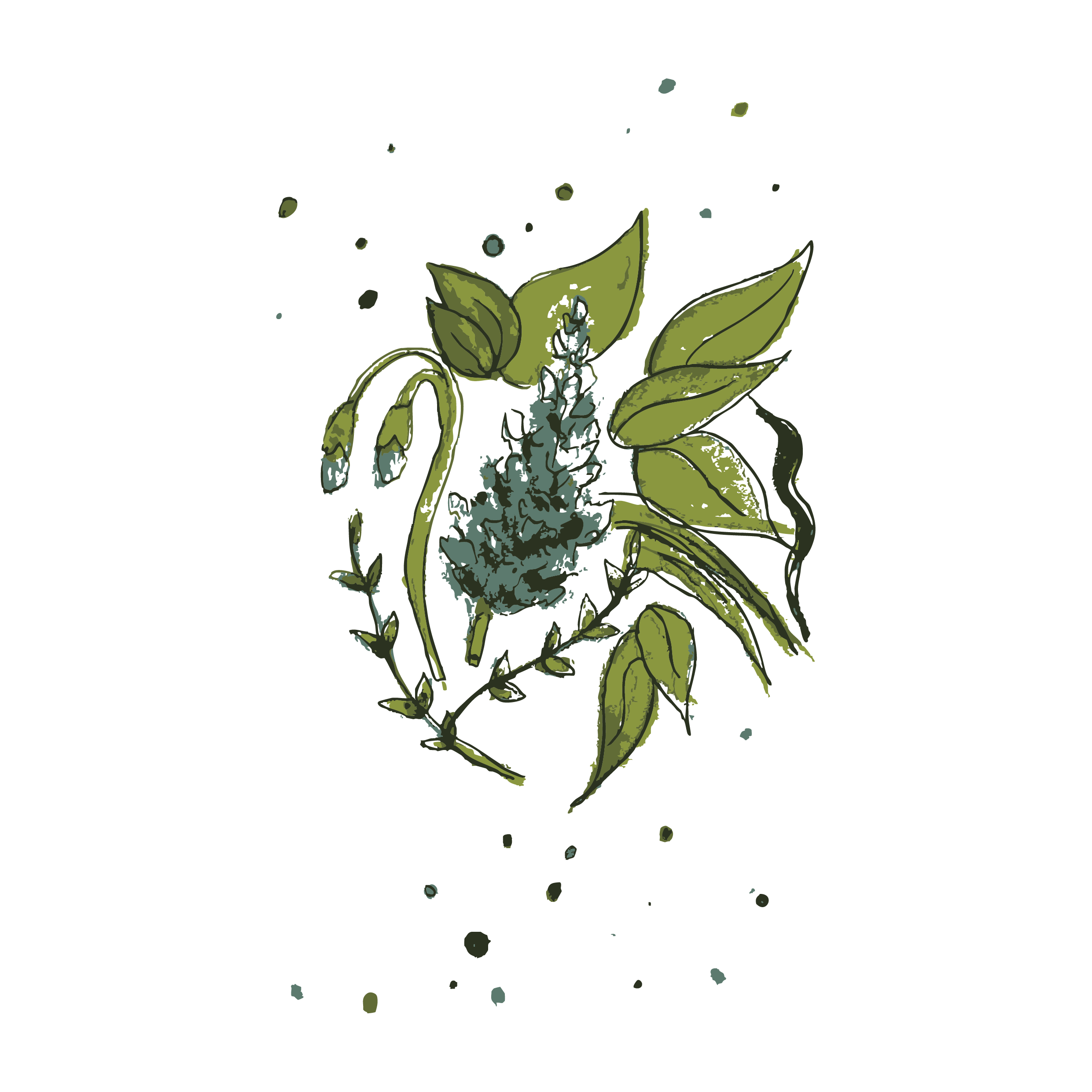 flower 1 .png