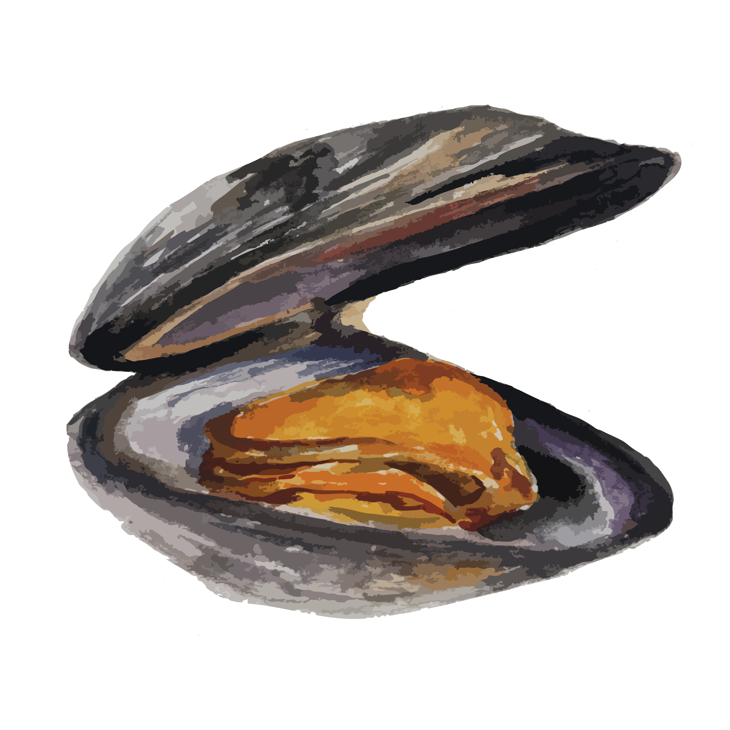 Mussels copy.png