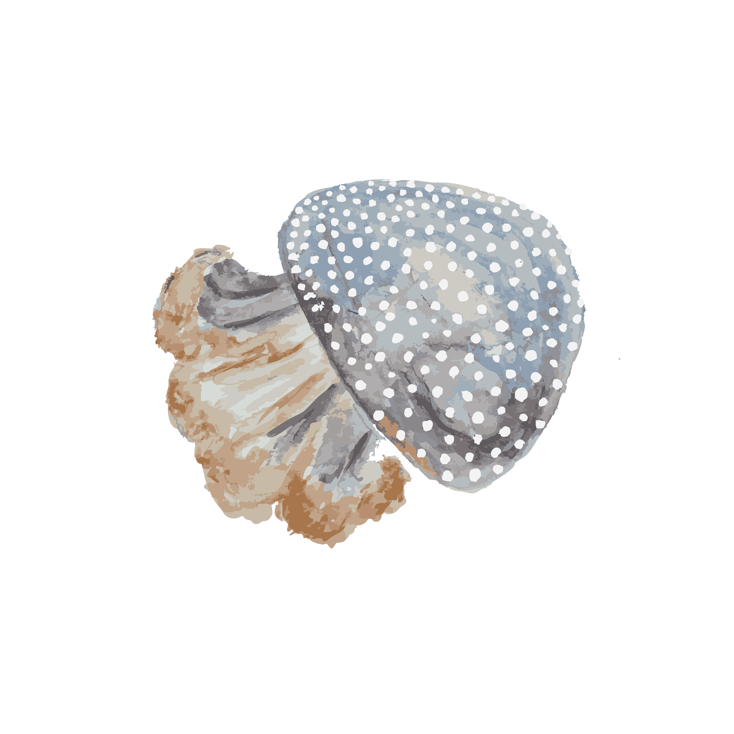 white spotted jellyfish copy.png
