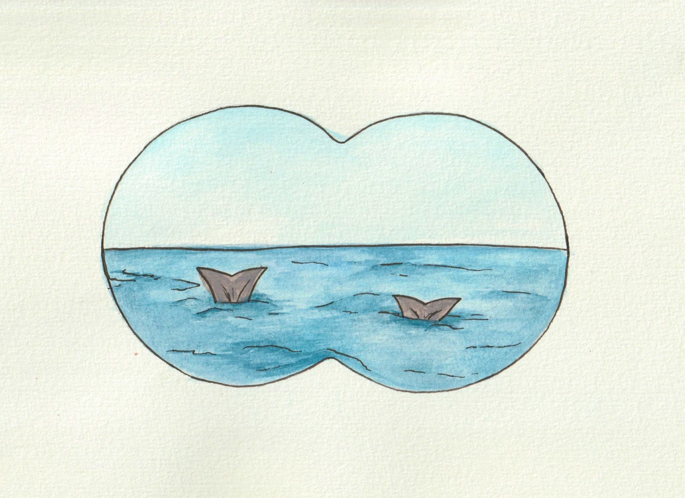 The Story of Whaling