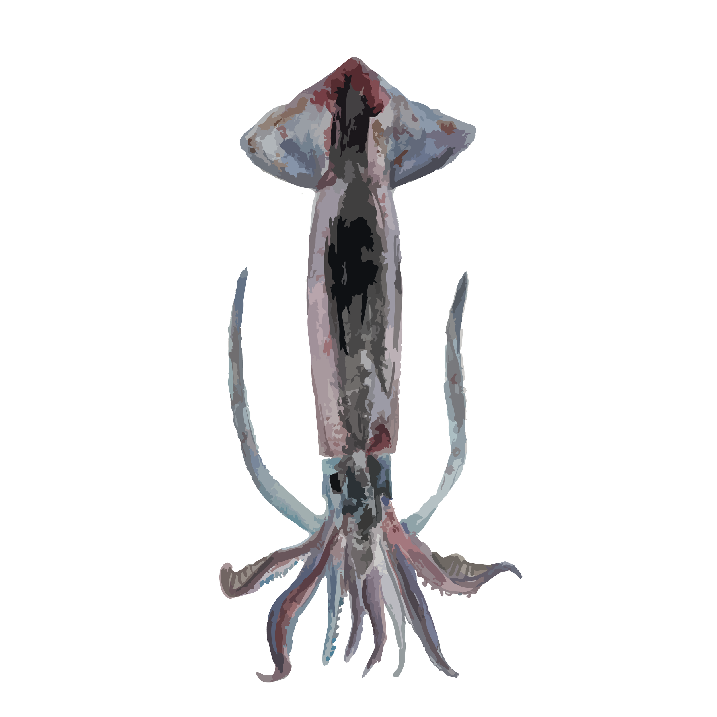 Flying squids copy.png
