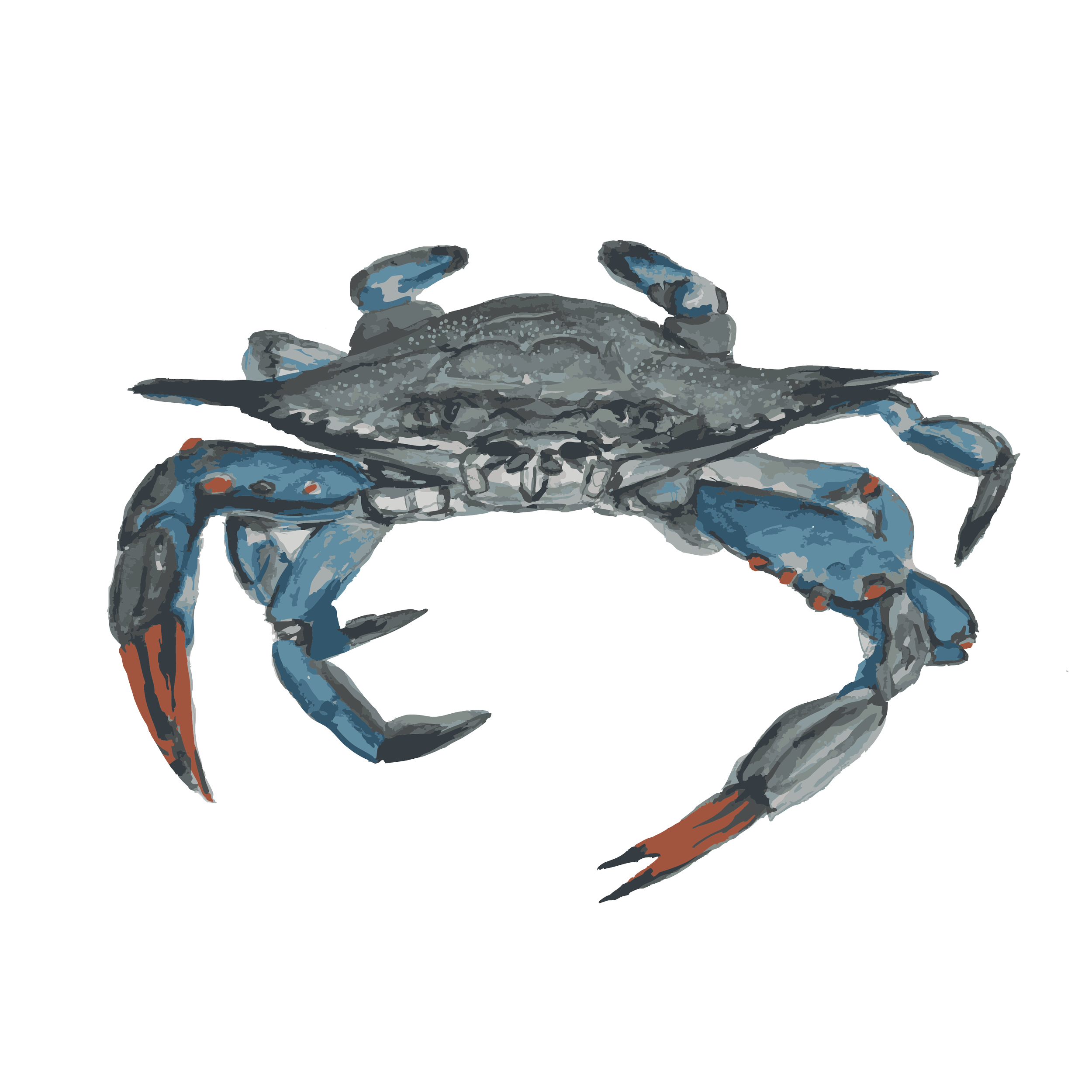 Blue crabs  copy.png