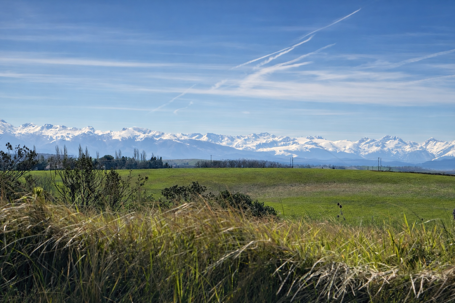 Paysage avec des champs verdoyants, des arbres, et des montagnes enneigées au loin sous un ciel bleu avec quelques nuages.