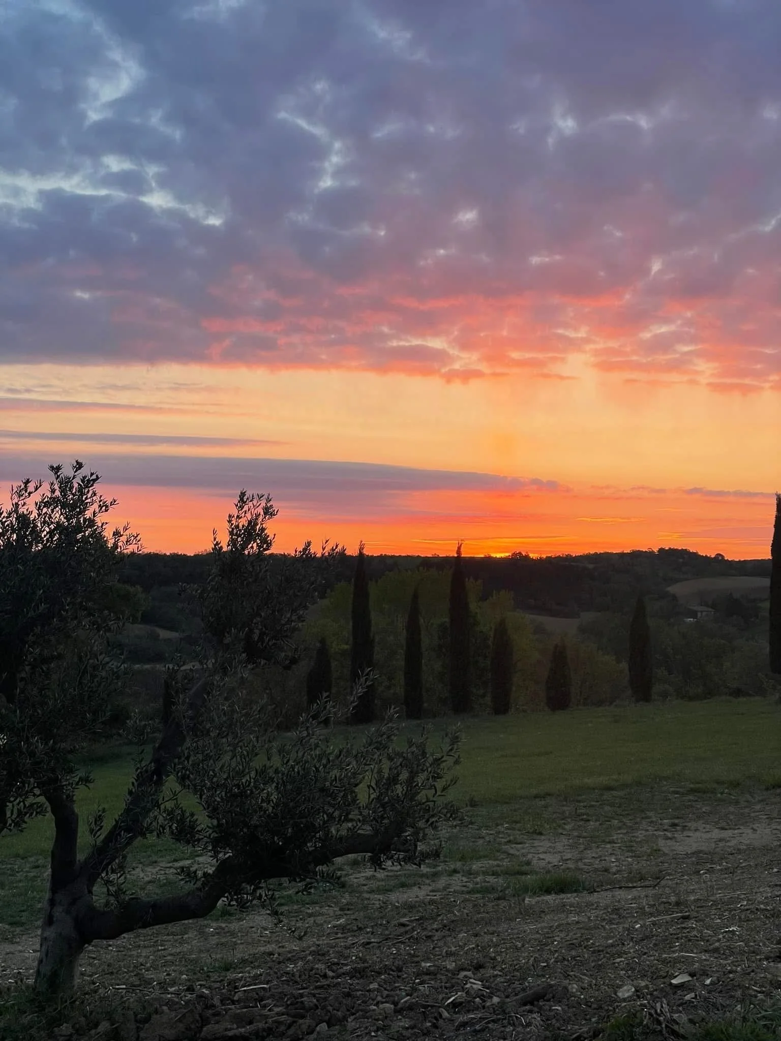 Coucher de soleil avec un ciel coloré, quelques nuages, des arbres en silhouette et un paysage verdoyant.