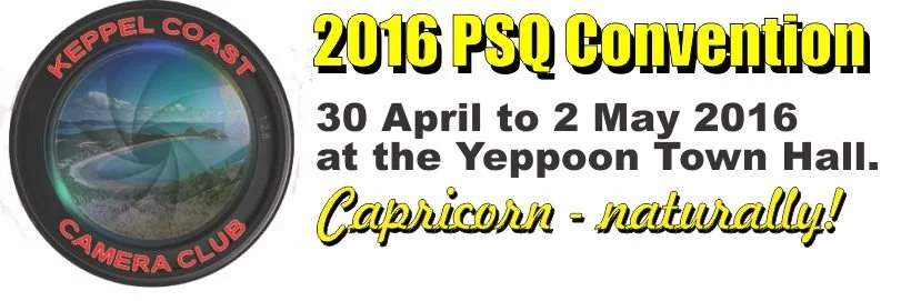 PSQ Convention | 2016