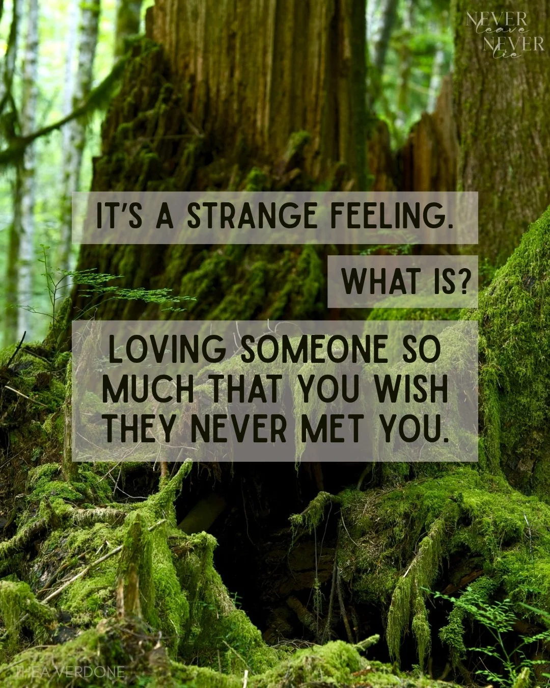 "It's strange." 
"What is?"
"Loving someone so much you wish they never met you."
&ldquo;I would meet you over and over again no matter how hard this gets. You&rsquo;re never more than I can take.&rdquo;  

🦊🎹 Never Le