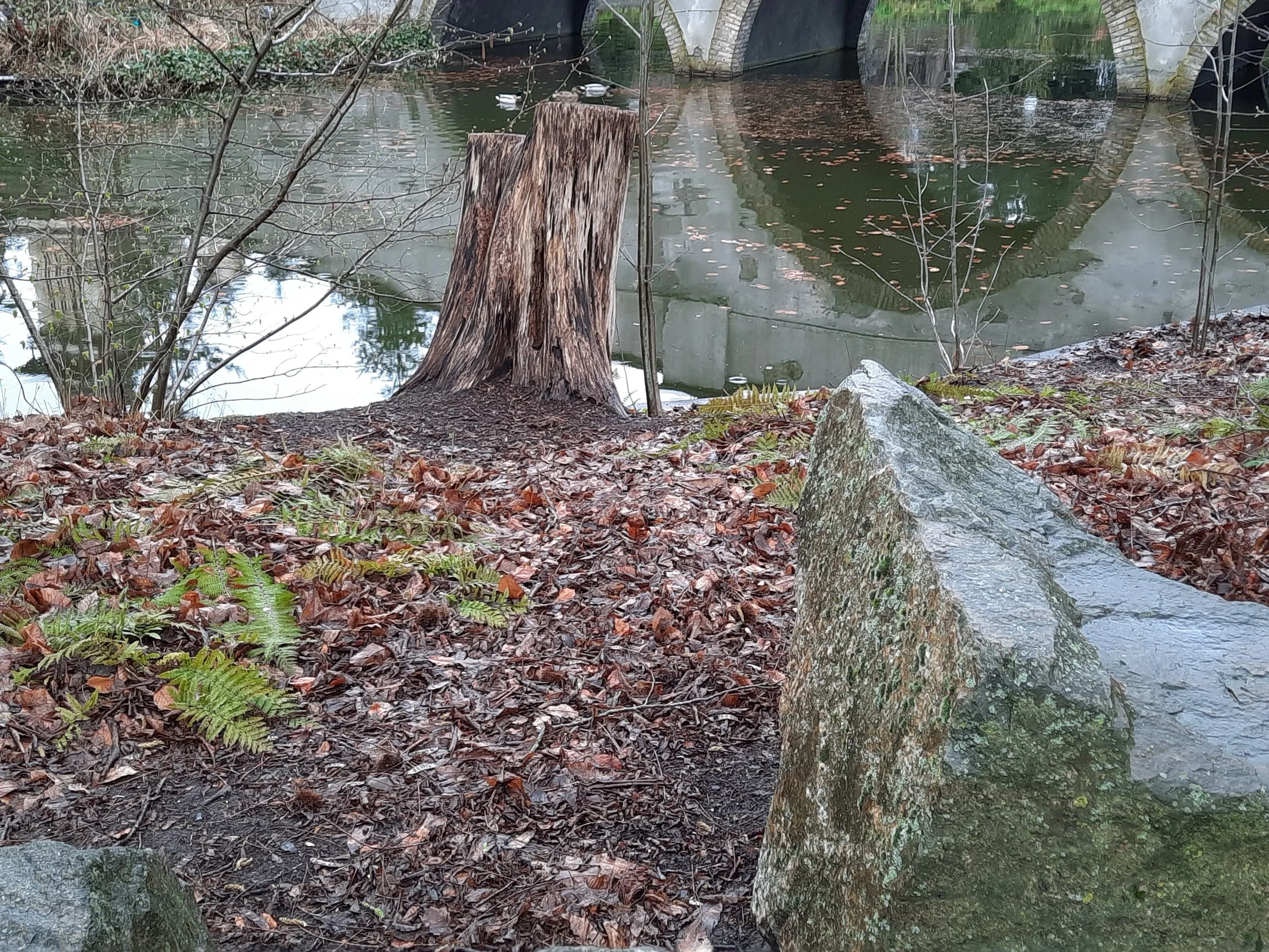 Natuur met een bosgrond, een boomstam, een grote steen, water, en een stenen brug op de achtergrond.