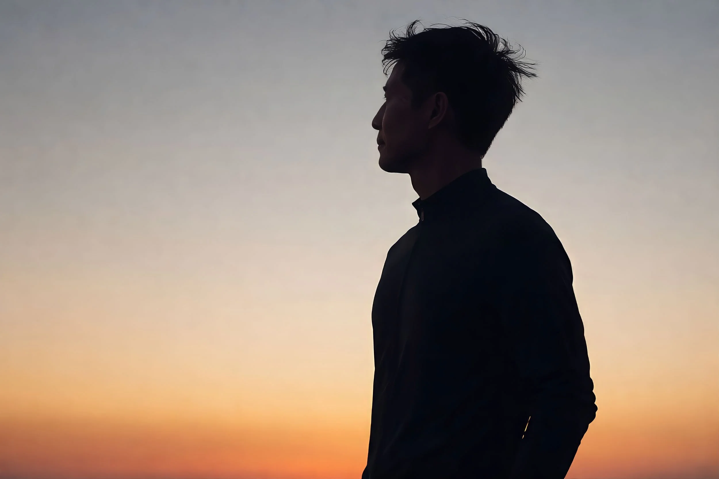 Silhouette of a man with spiky hair looking to the right against a sunset sky.