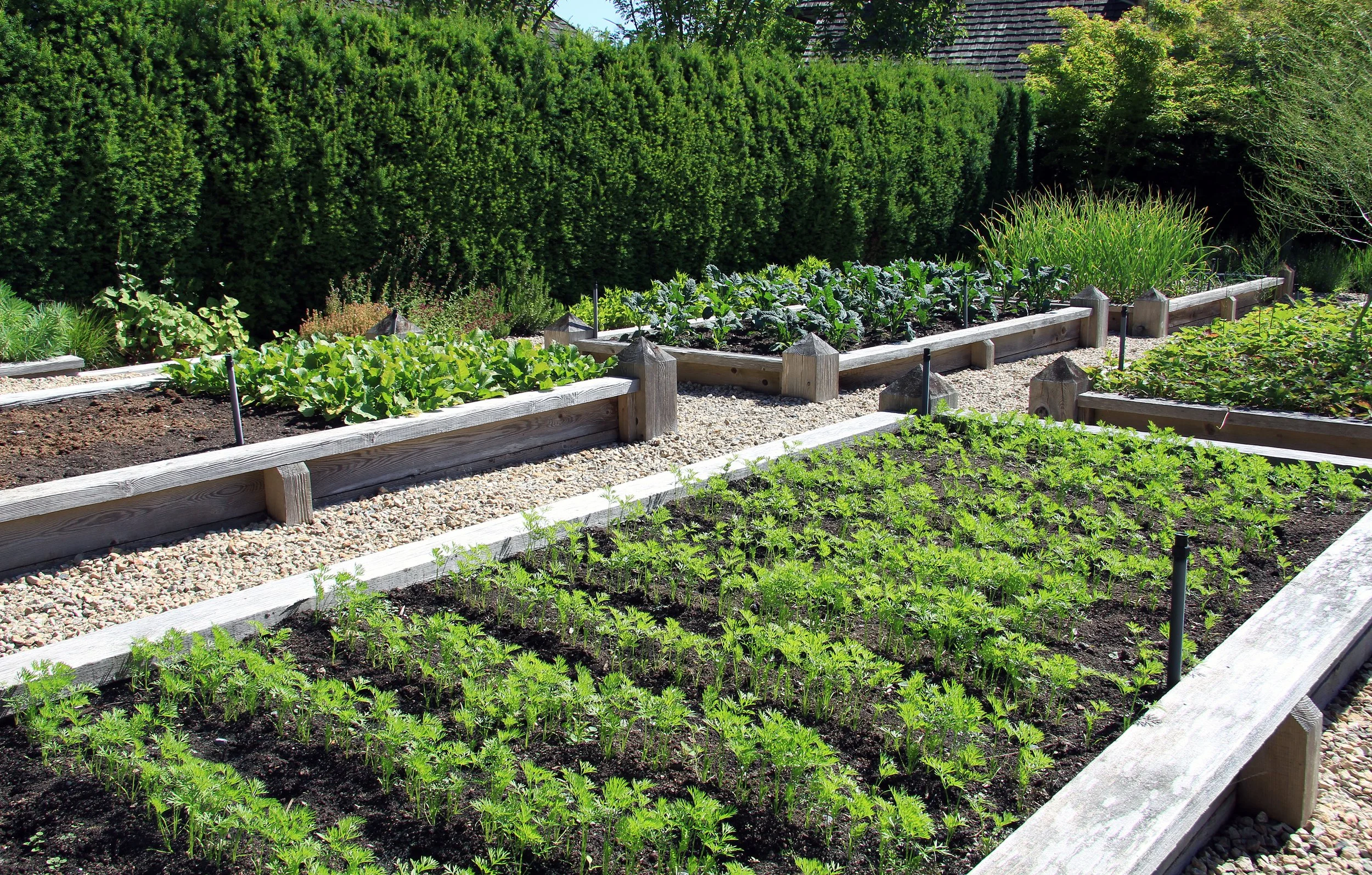 structured raised-bed kitchen garden with organised vegetable planting