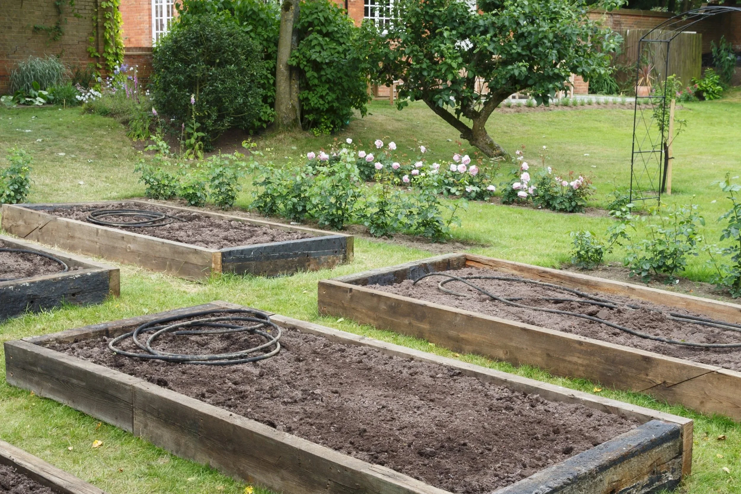 Raised beds prepared for planting in a kitchen garden