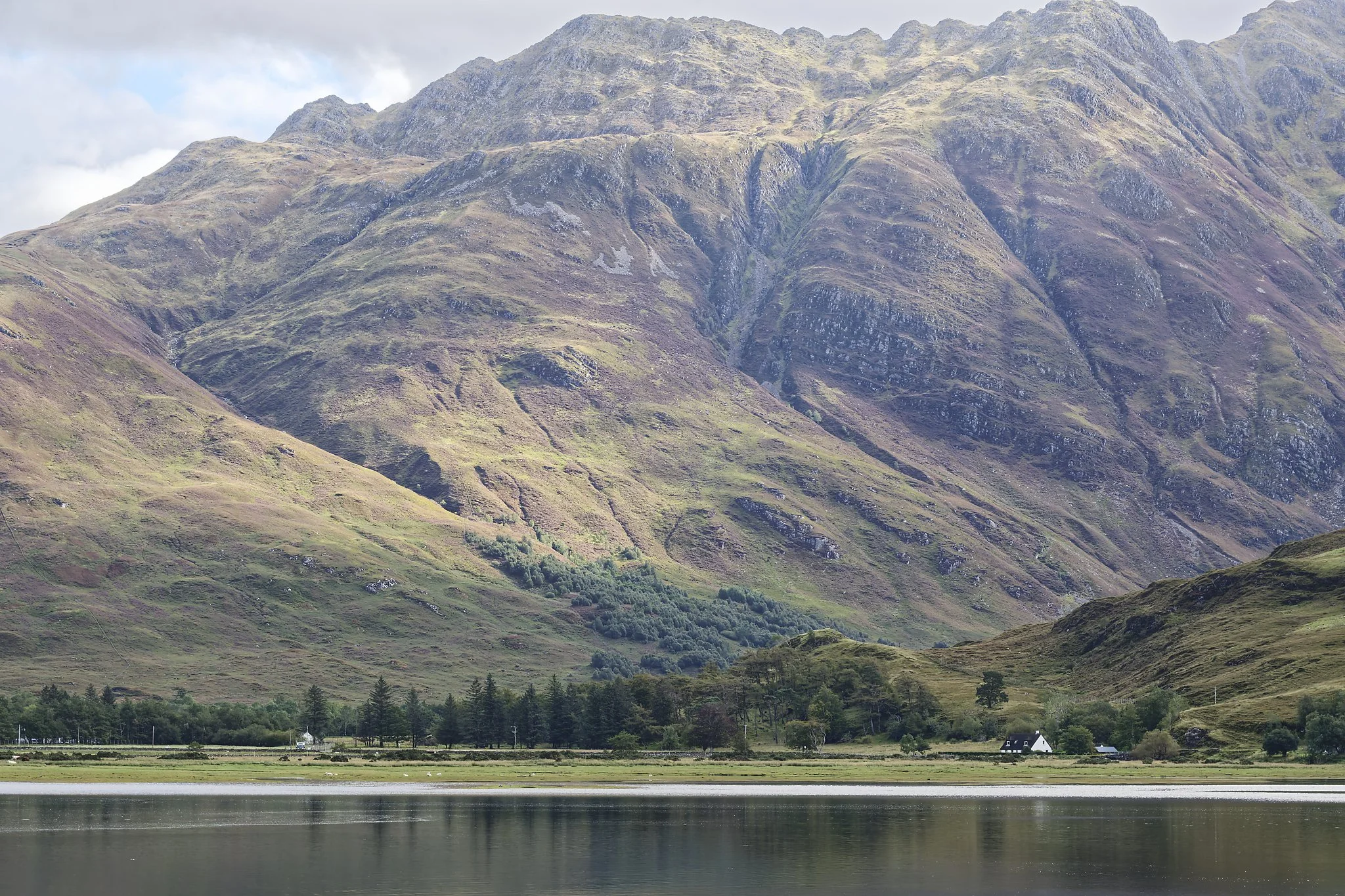 Mountain landscape with green and purple-hued hills, a small house, and calm water in the foreground. Scotland.