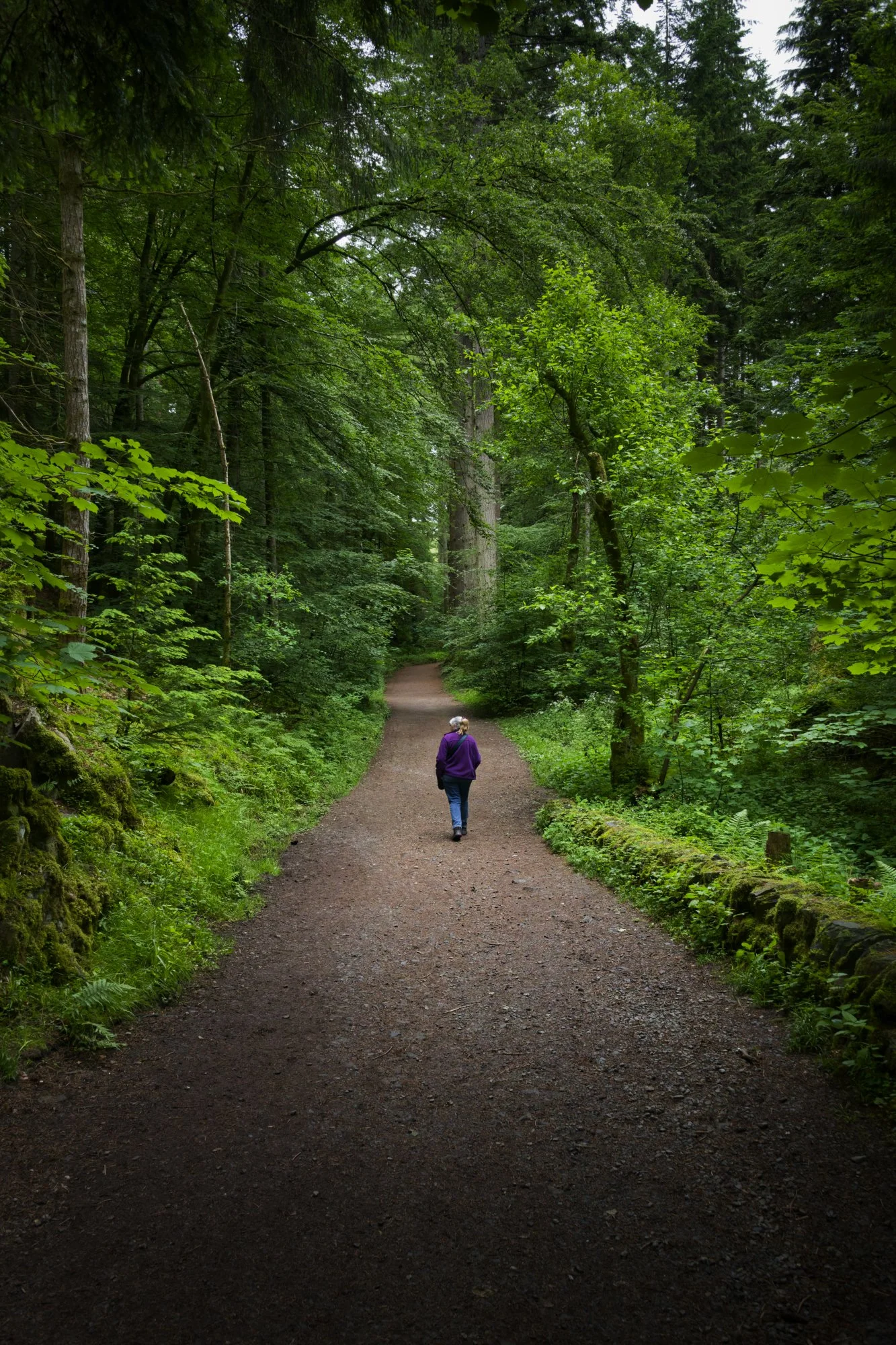 The Hermitage Scotland
