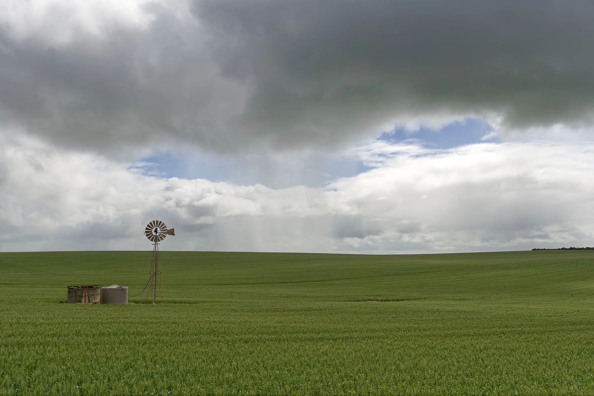 Wheat fields Western Australia