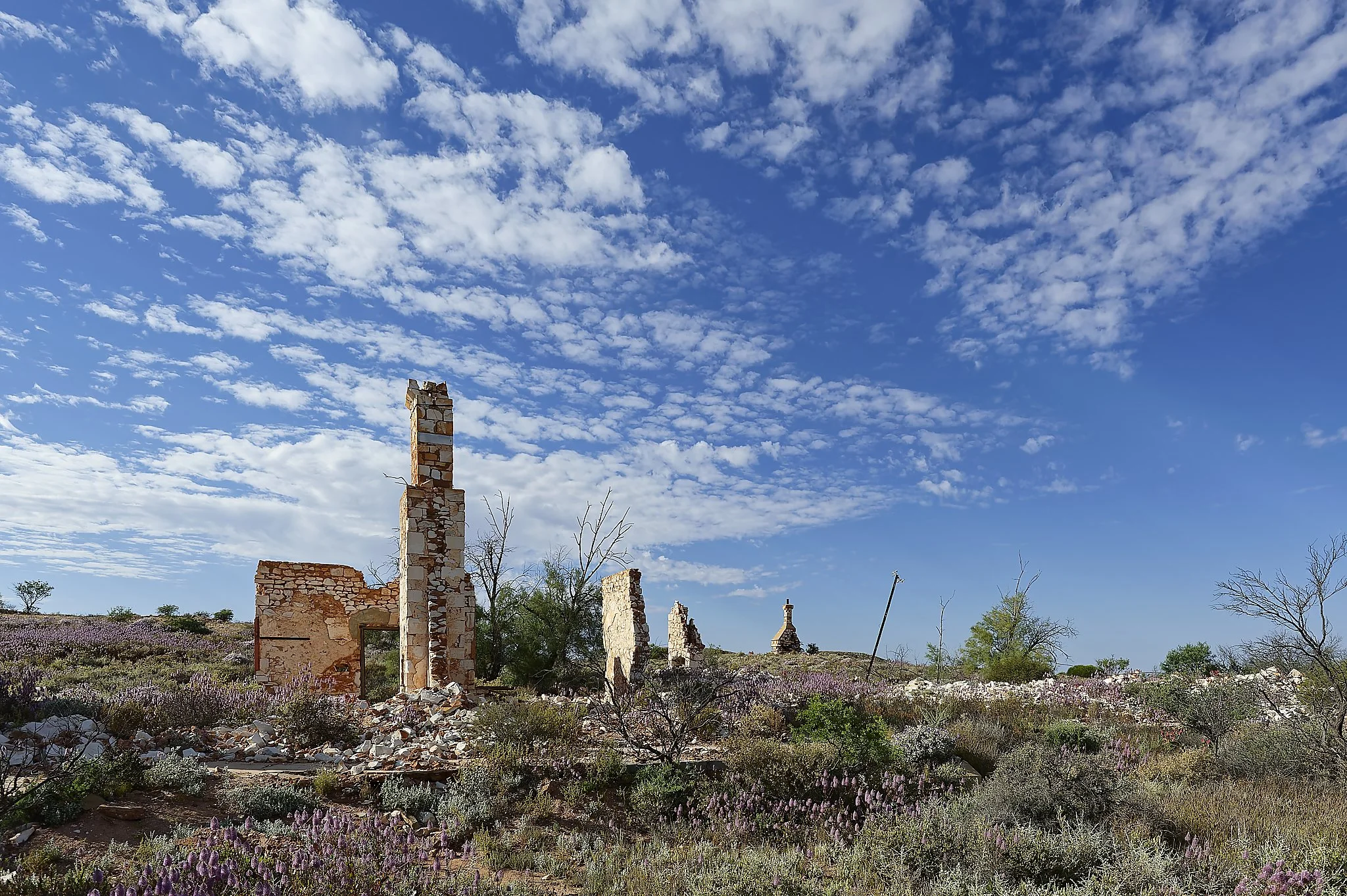 Ruins of an old stone building in a field of wildflowers under a blue sky with scattered clouds. Midwest Western Australia.