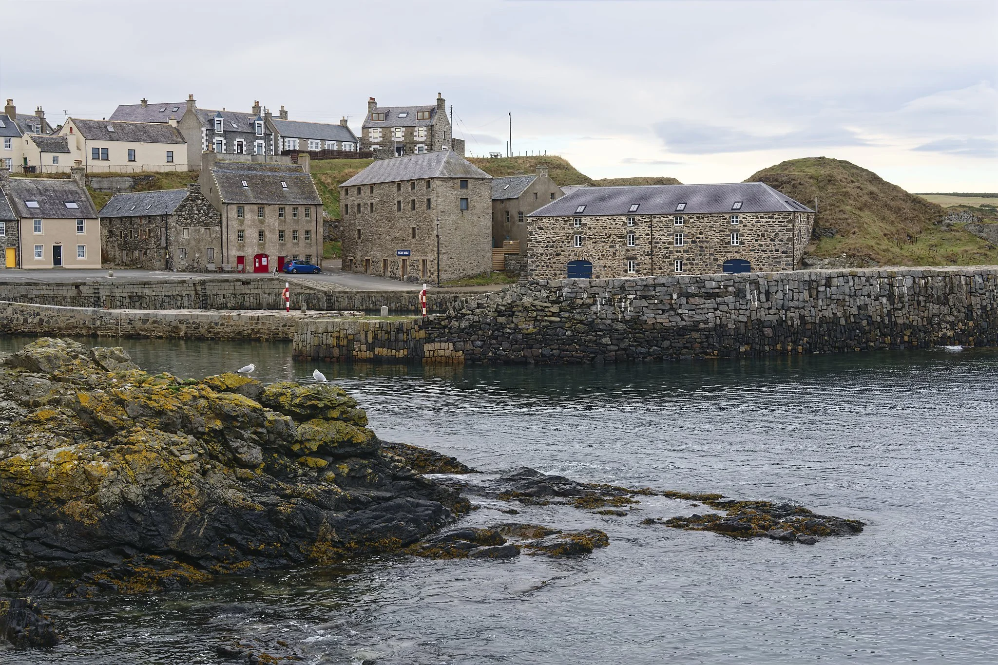 View of a coastal village with stone buildings, a stone seawall, and seagulls perched on rocks in the foreground. Overcast sky.