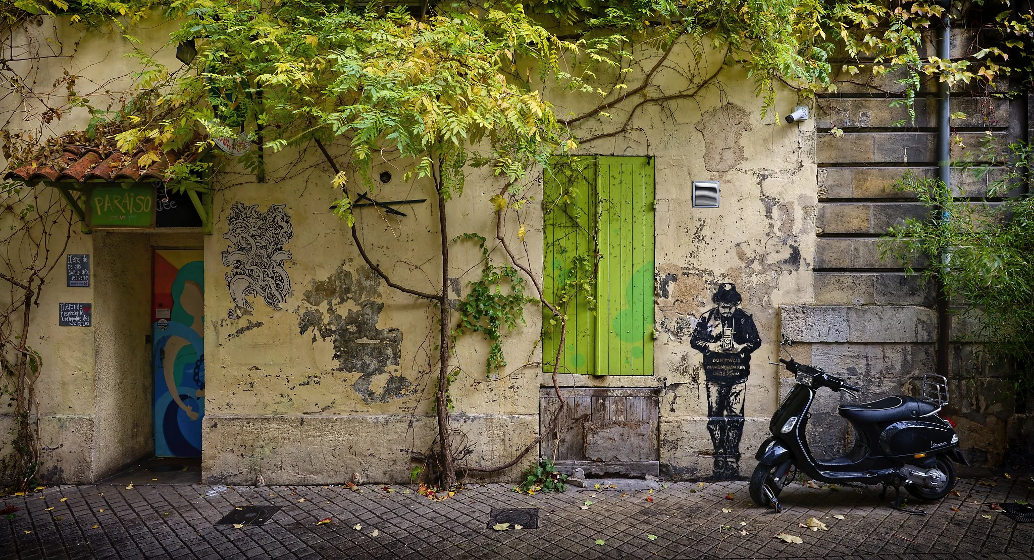 A weathered beige wall with green shutters, climbing vines, street art, and a black scooter parked on a brick-paved sidewalk. Paris Club.