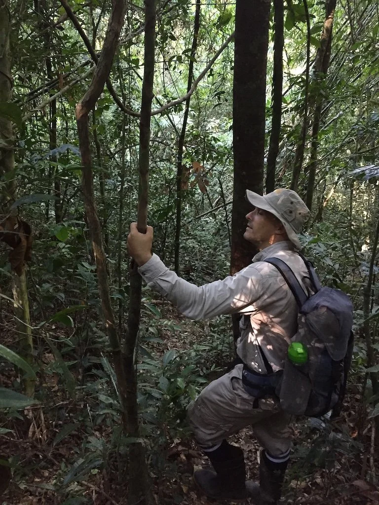 Gerard Chartier, nature guide in Koh Kong has spotted something of interest in the forest