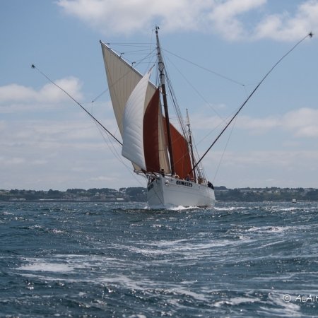 The Biche, under full sail, displaying her tangoes