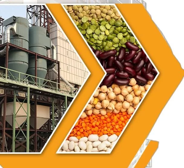 Modern Dal Mill Plant | Nextech Solutions - Technical Consultants.jpg
