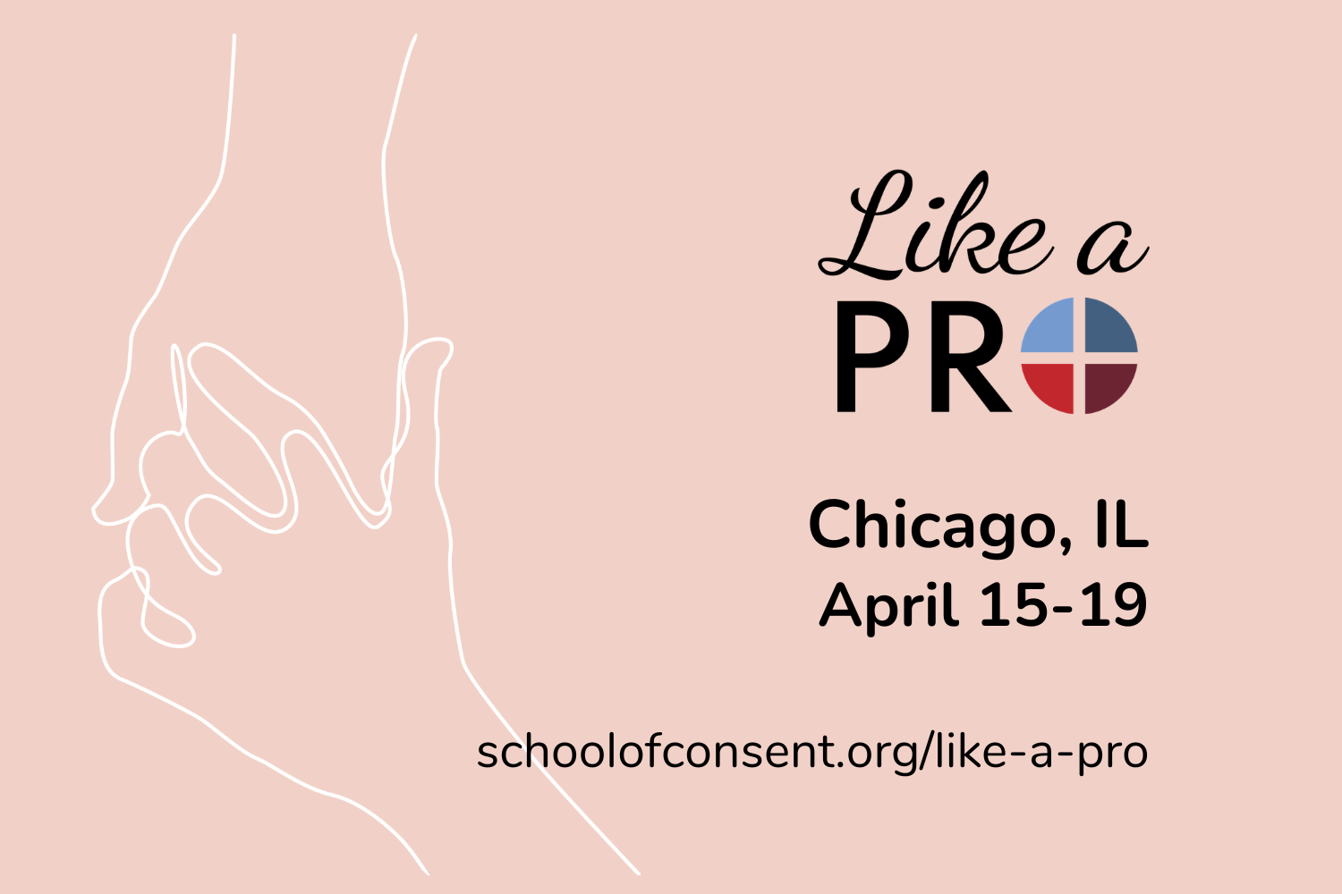 Like A Pro - Chicago