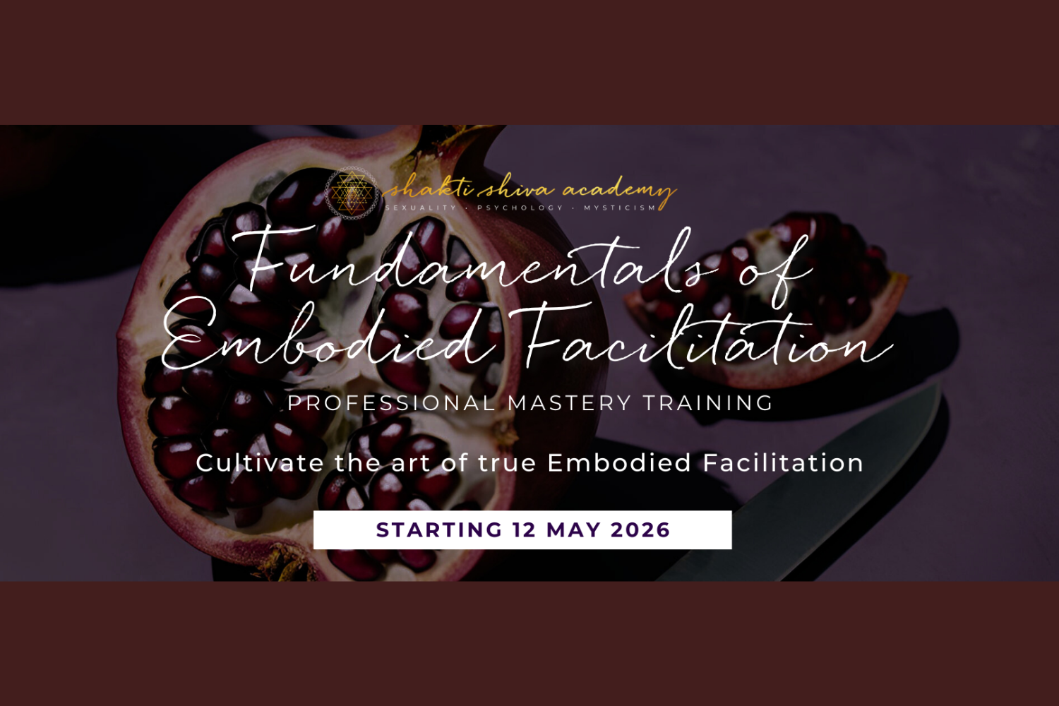 Fundamentals of Embodied Facilitation