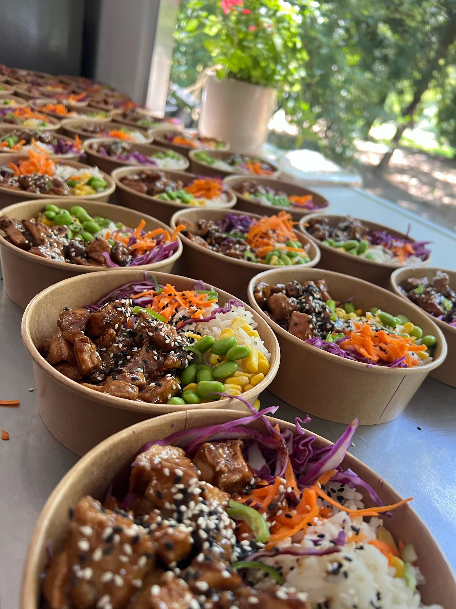 Multiple bowls of Asian-inspired rice bowls topped with teriyaki chicken, shredded carrots, purple cabbage, edamame, and sesame seeds, arranged on a table near a window with green trees outside.