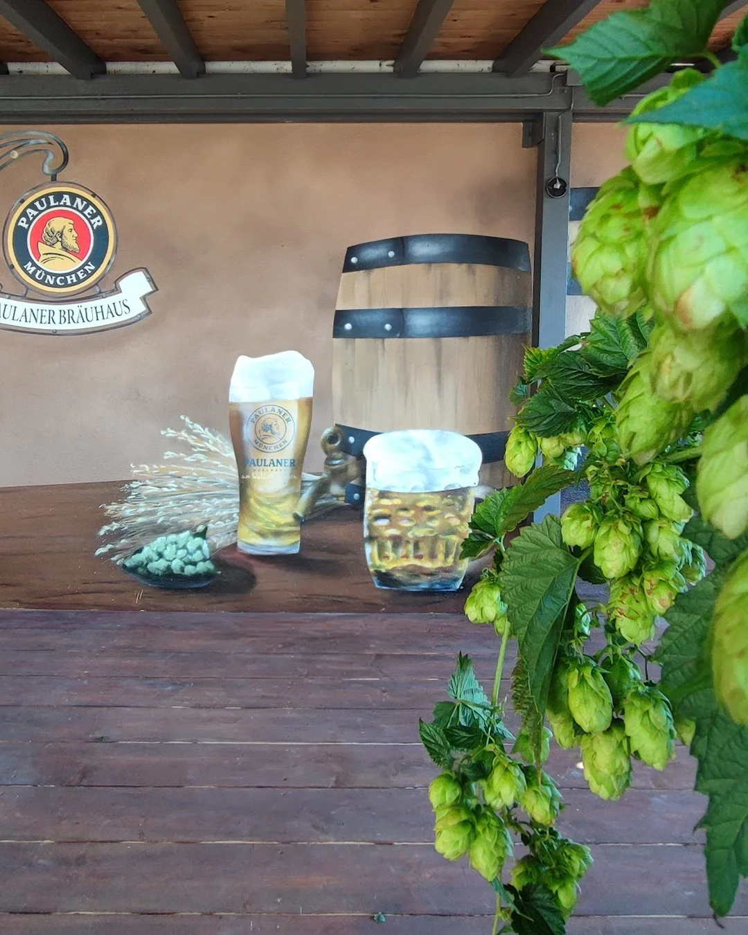 Ein Bild zeigt ein Brautmoment mit einem Fass, einem Bierglas mit Schaum, einem Bierkrug und einem Zapfhahn. Ein Schild mit dem Logo von Paulaner München und »Paulaner Bräuhaus« ist sichtbar. Es gibt grüne Pflanzen im Vordergrund.