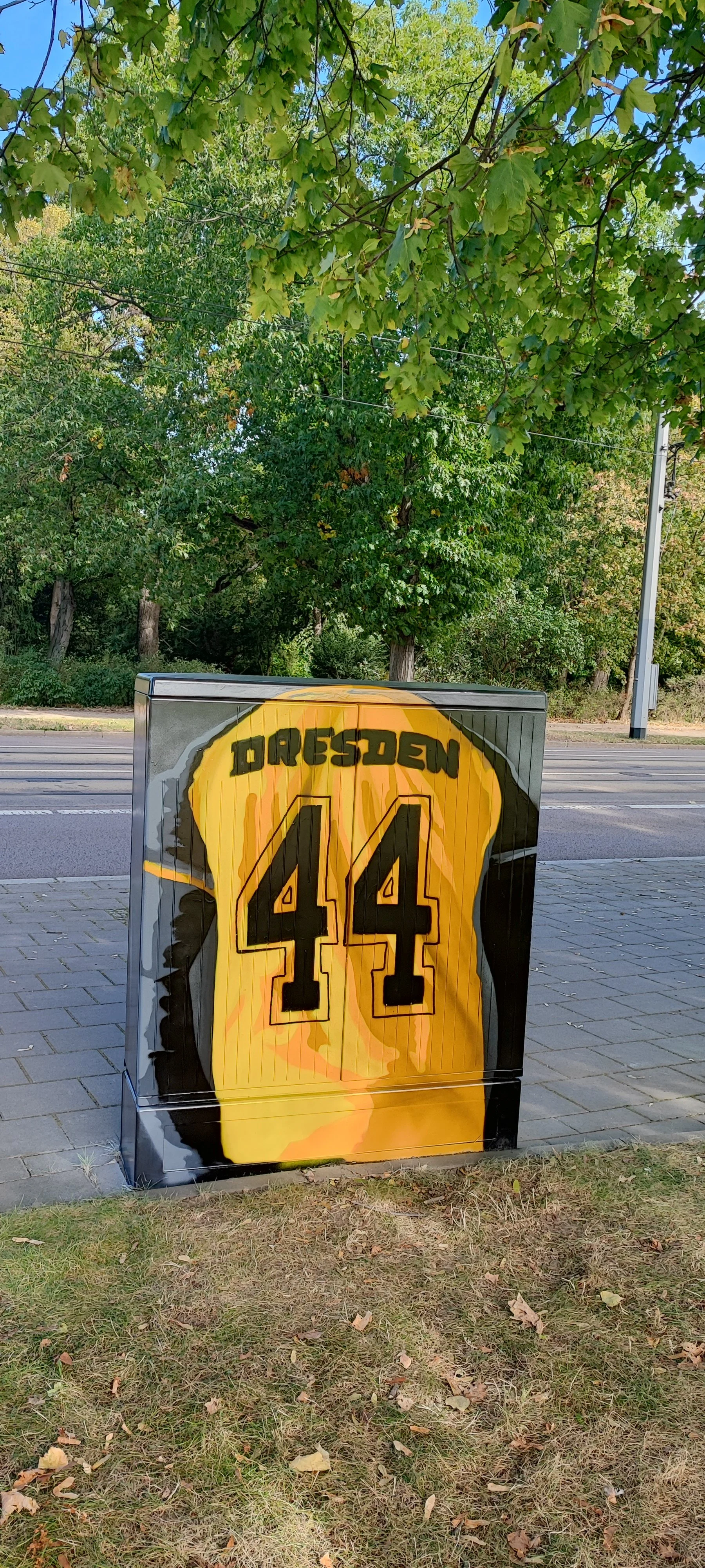 Eine Streetart-Grafik auf einer Stromkasten, die ein gelbes Trikot mit der Nummer 44 und dem Schriftzug «DRESDEN» zeigt, im Hintergrund Bäume und eine Straße.